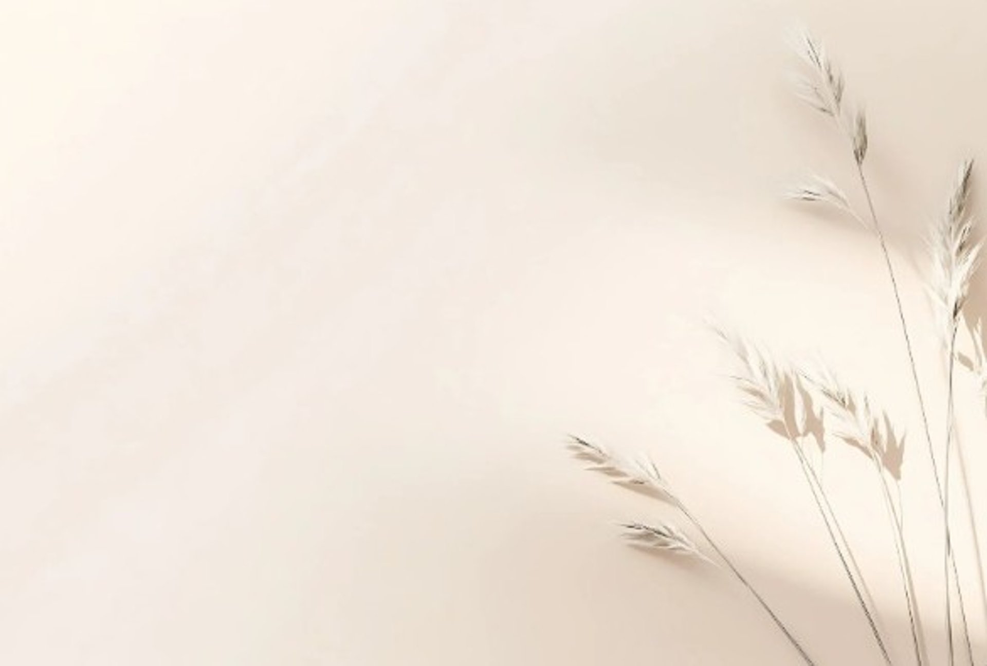 Naturopathie aux Essarts-le-Roi et à Maurepas, accompagnement naturel et gestion du stress