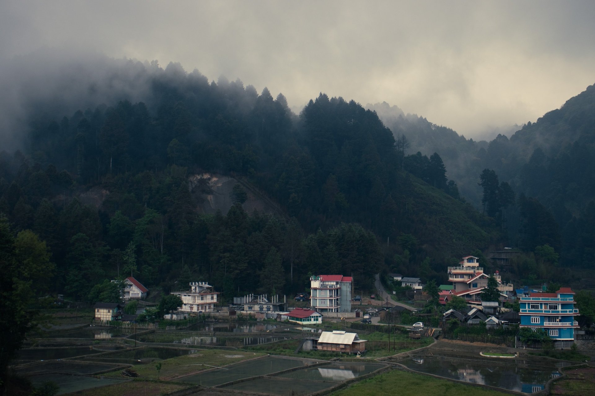 black and white bed linen