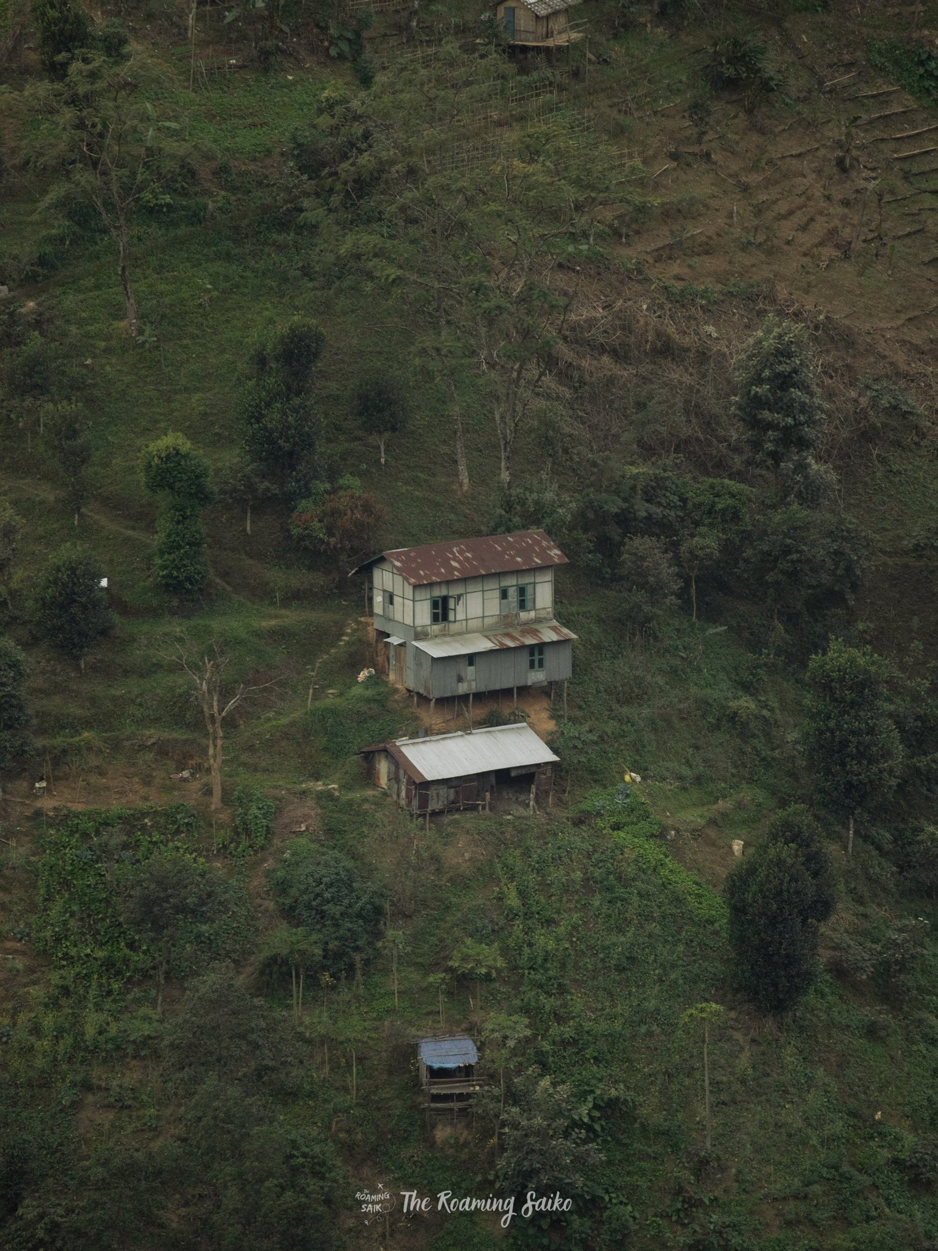 person holding black dslr camera