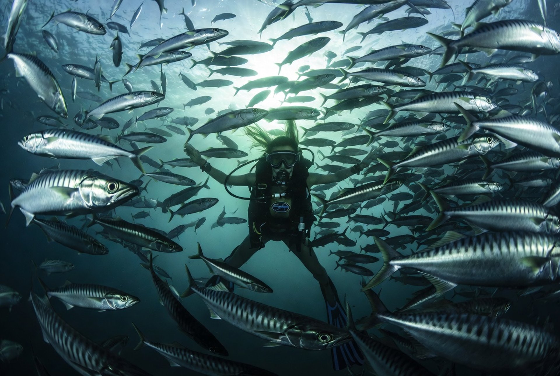an abstract photo of a curved building with a blue sky in the background