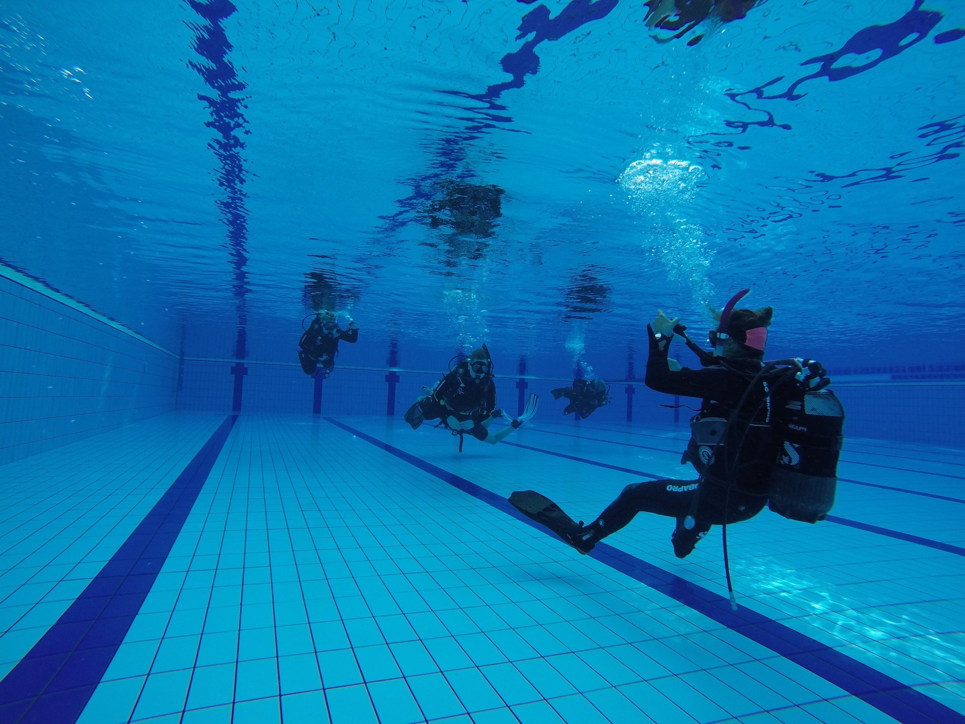 a cruise ship in the ocean with a rope in the foreground