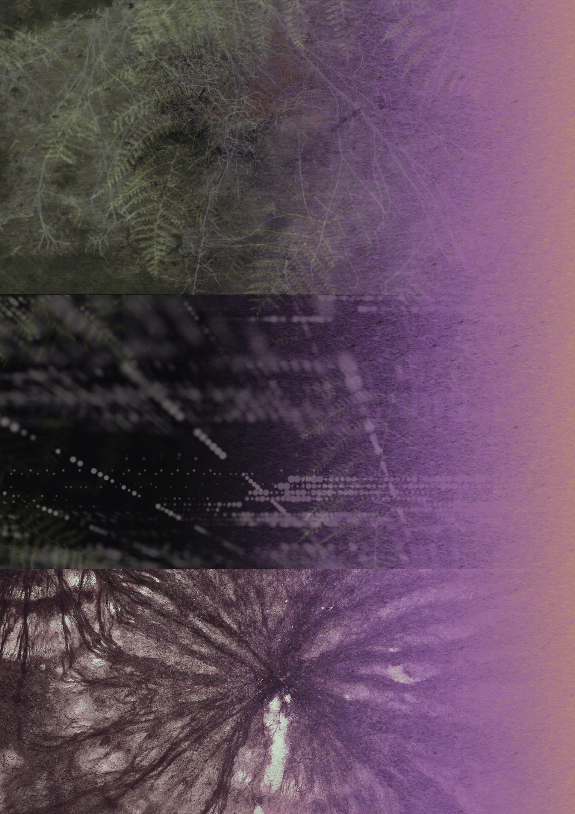 yellow leaf tree under blue sky during daytime