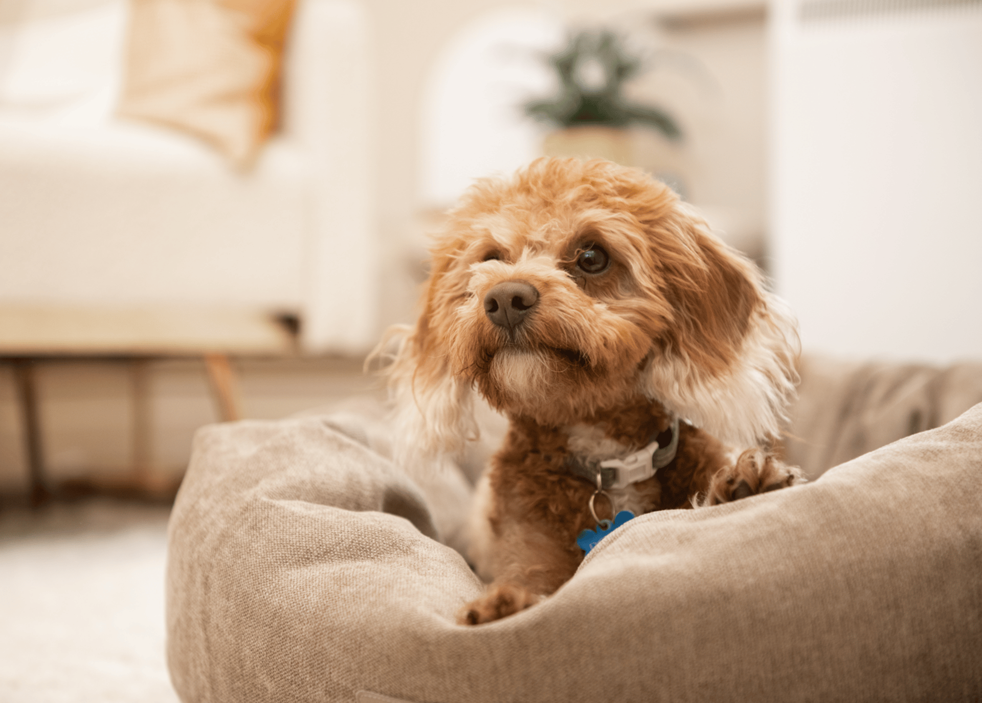 black and white bed linen