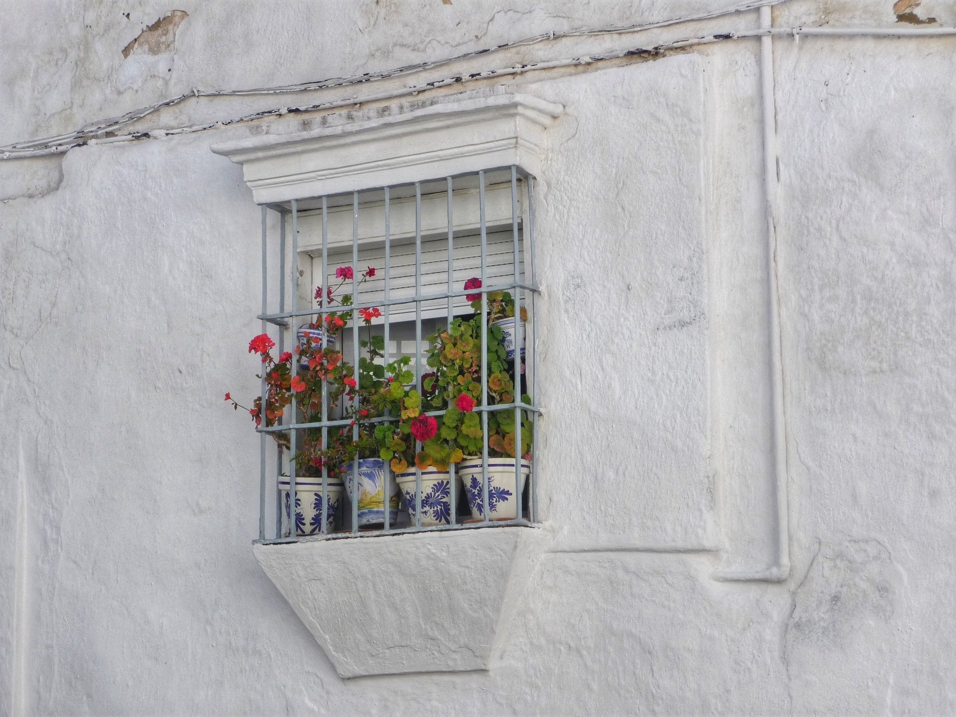 black and white bed linen