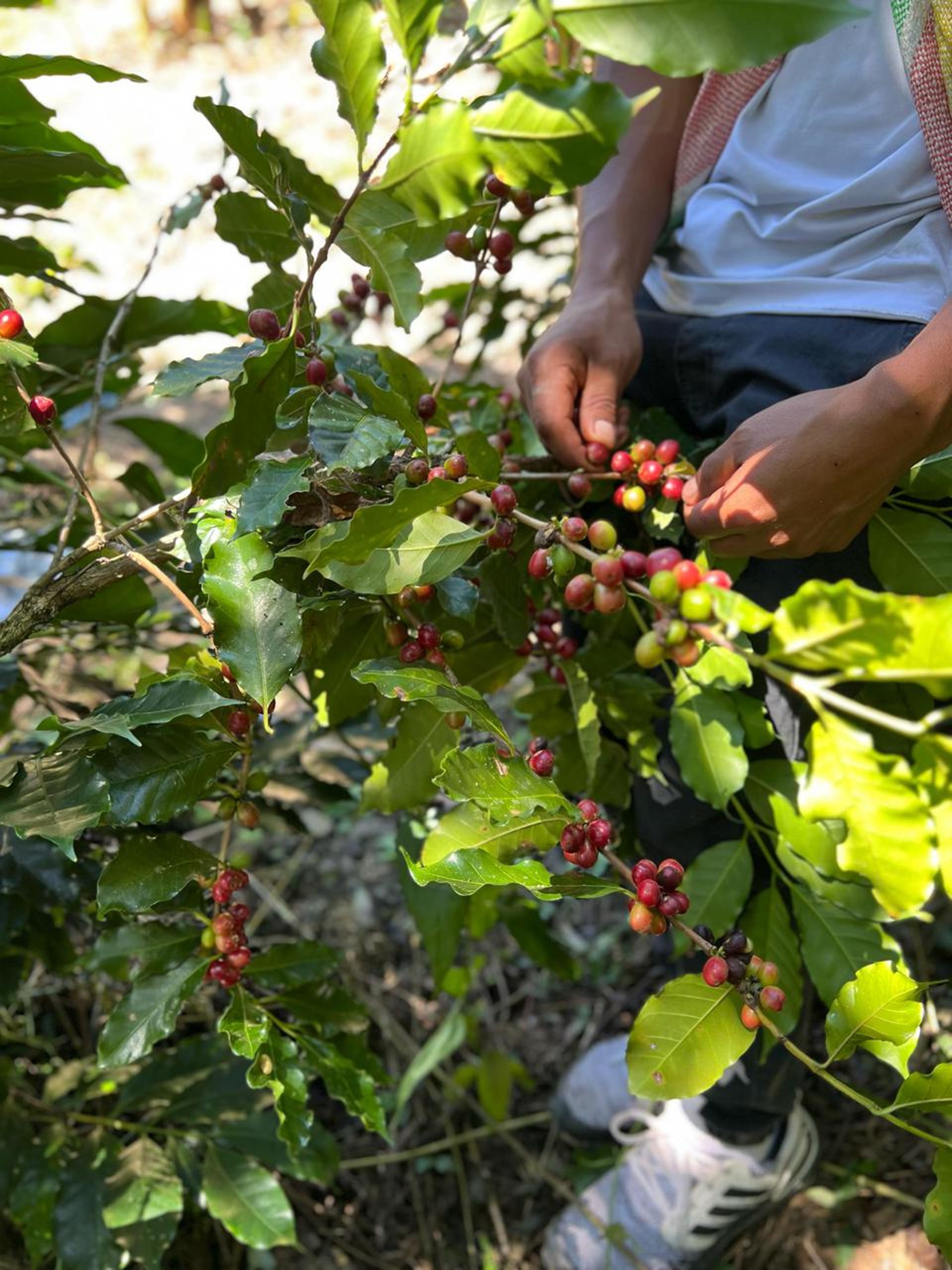 black and white bed linen