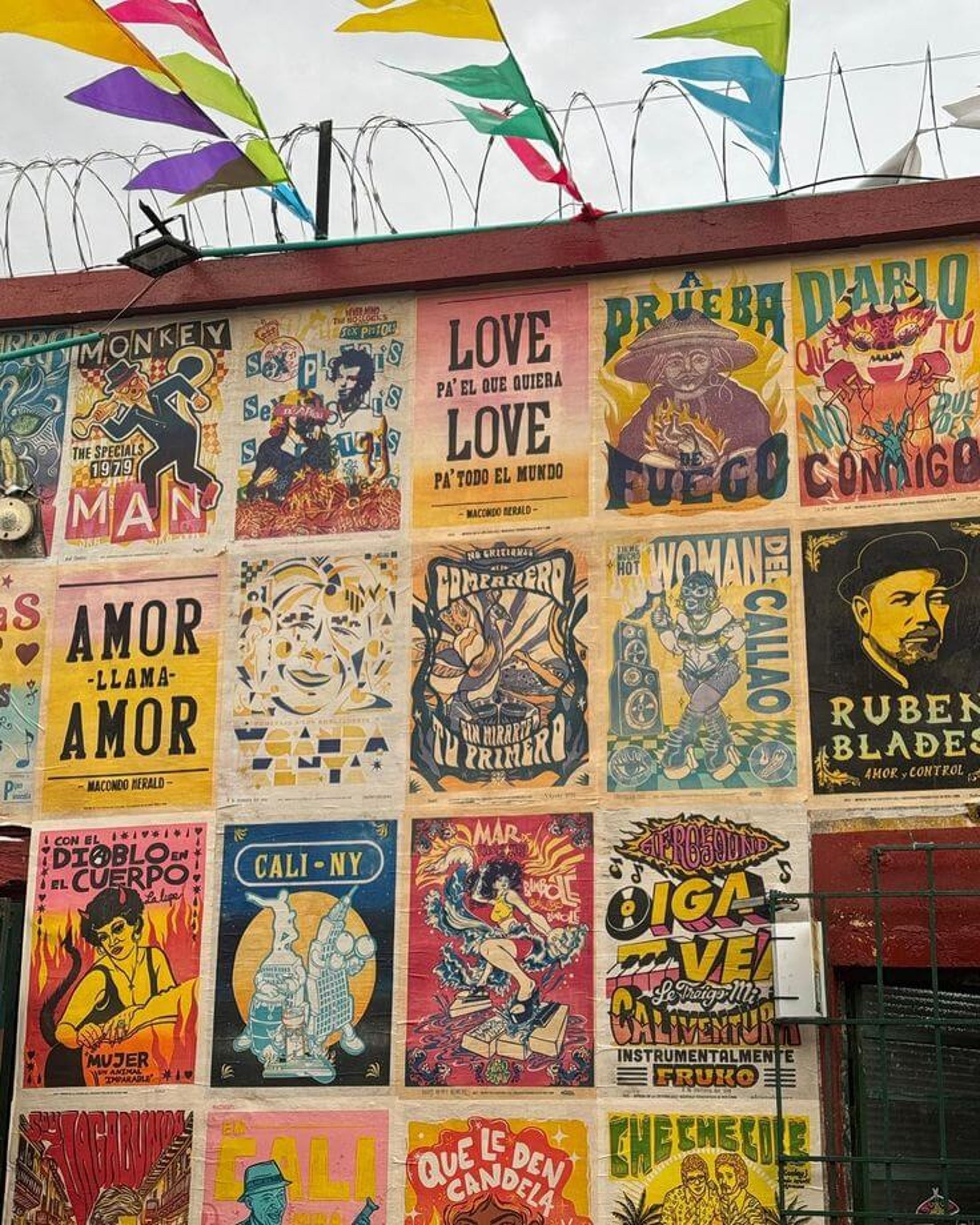 yellow-blue-and-red buntings