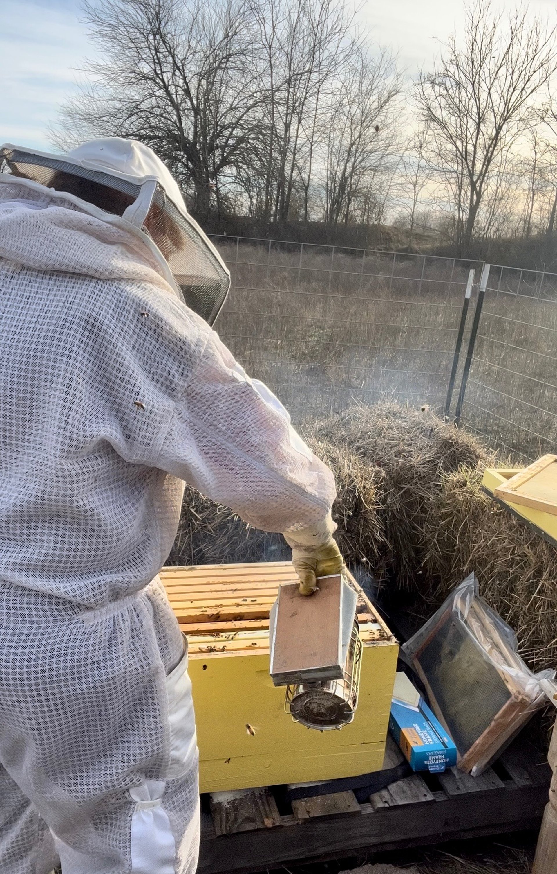 black and brown leather padded tub sofa
