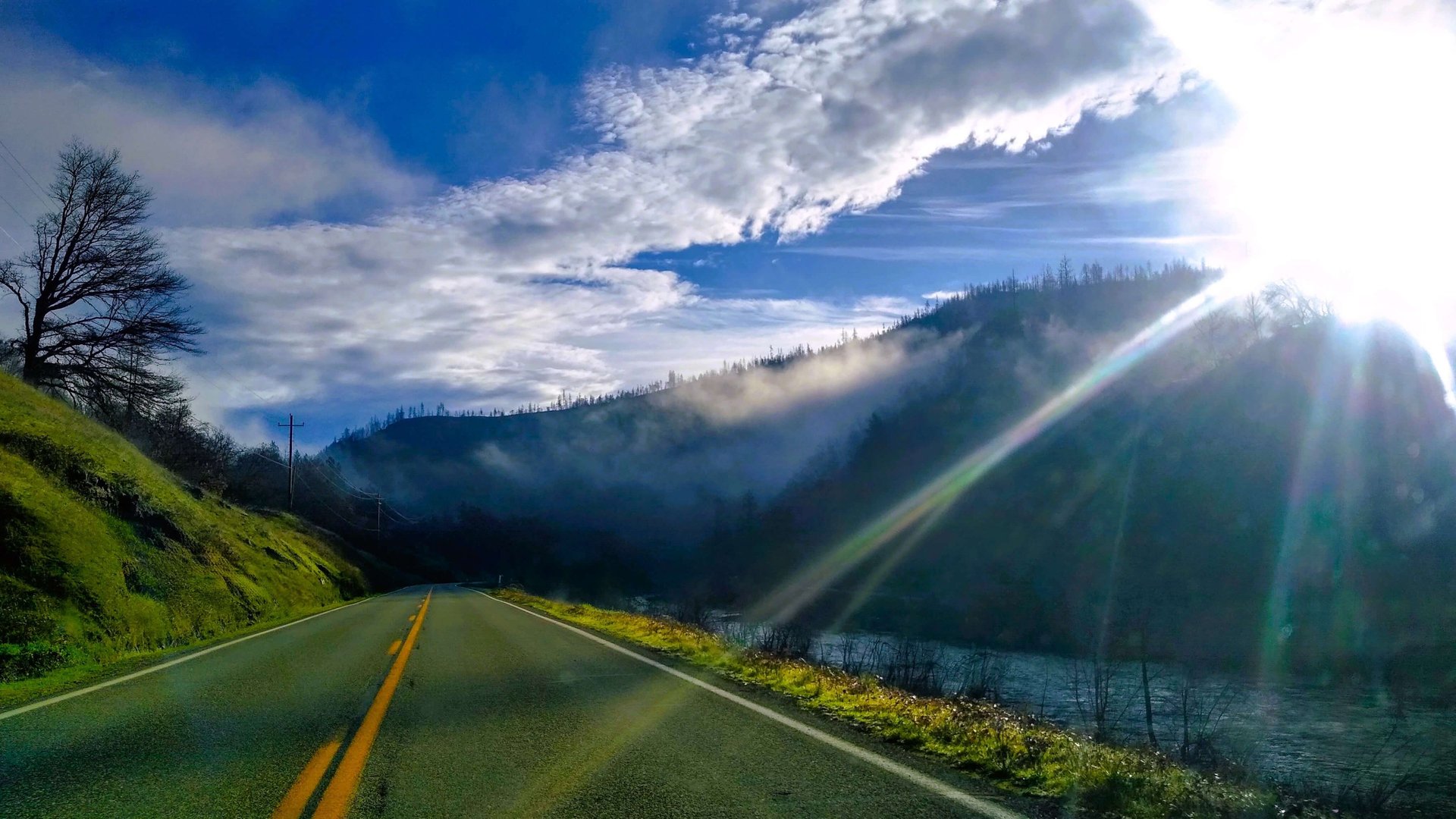 green pine trees on mountain during daytime