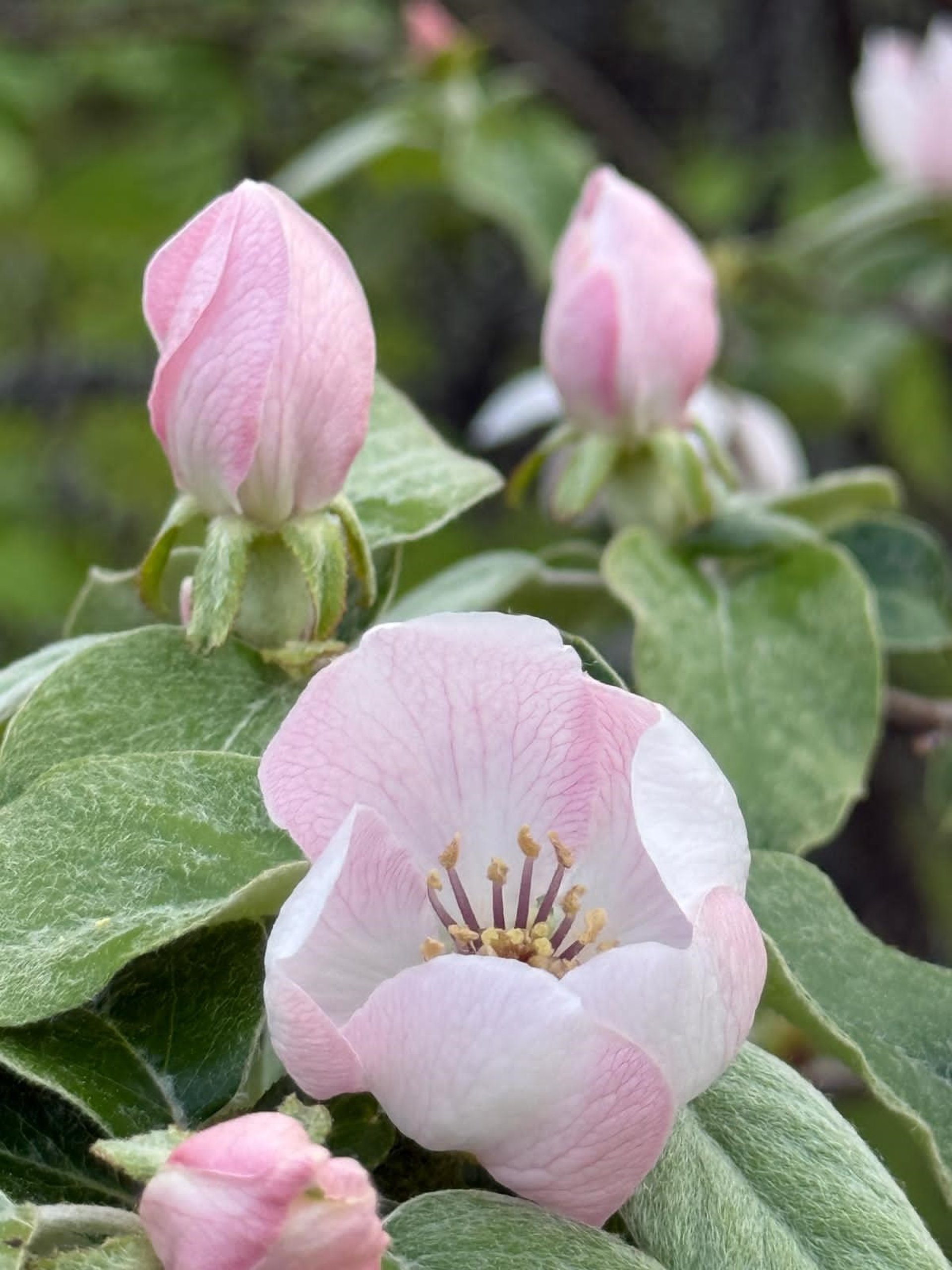 woman wearing yellow long-sleeved dress under white clouds and blue sky during daytime