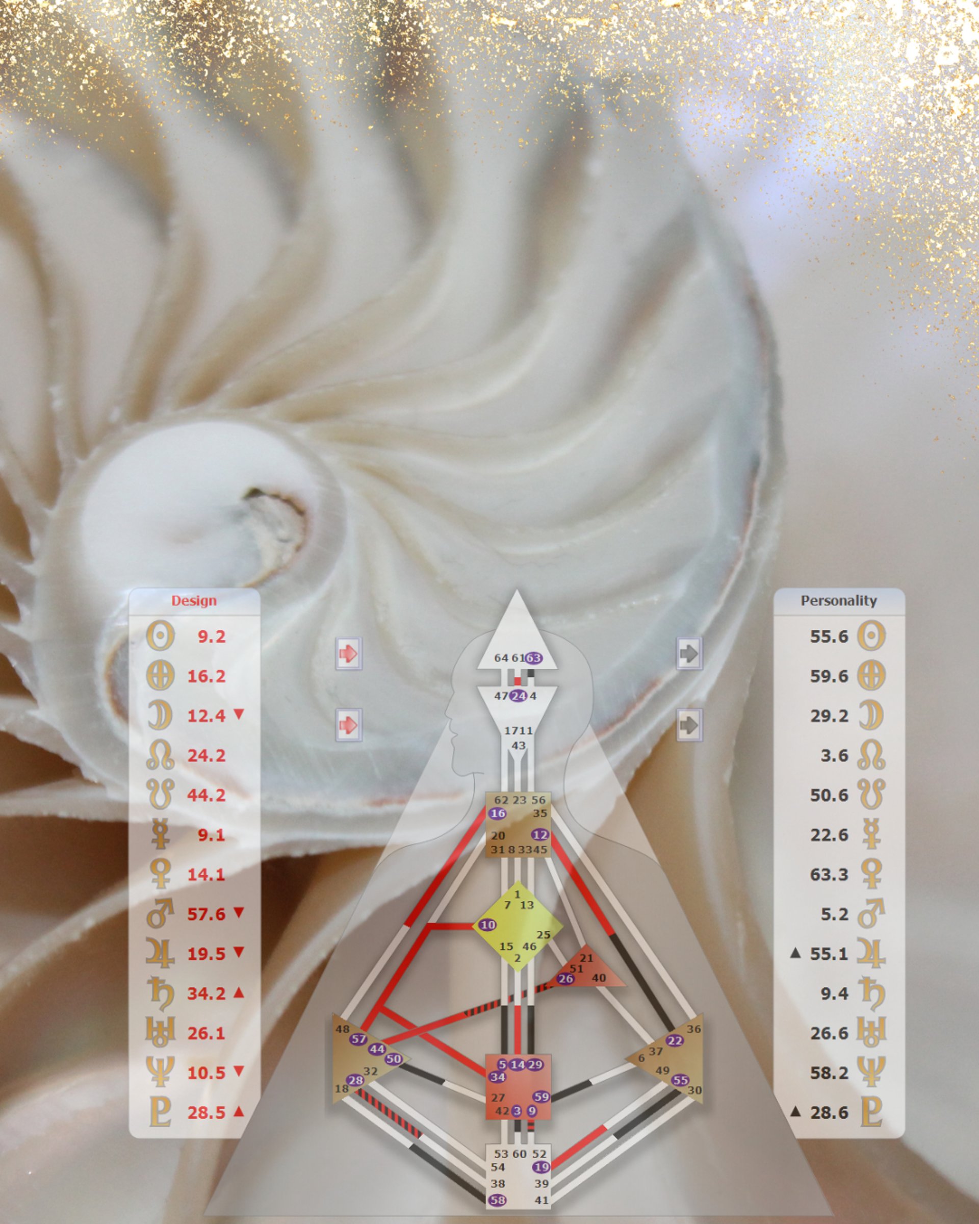 MacBook Pro near white open book