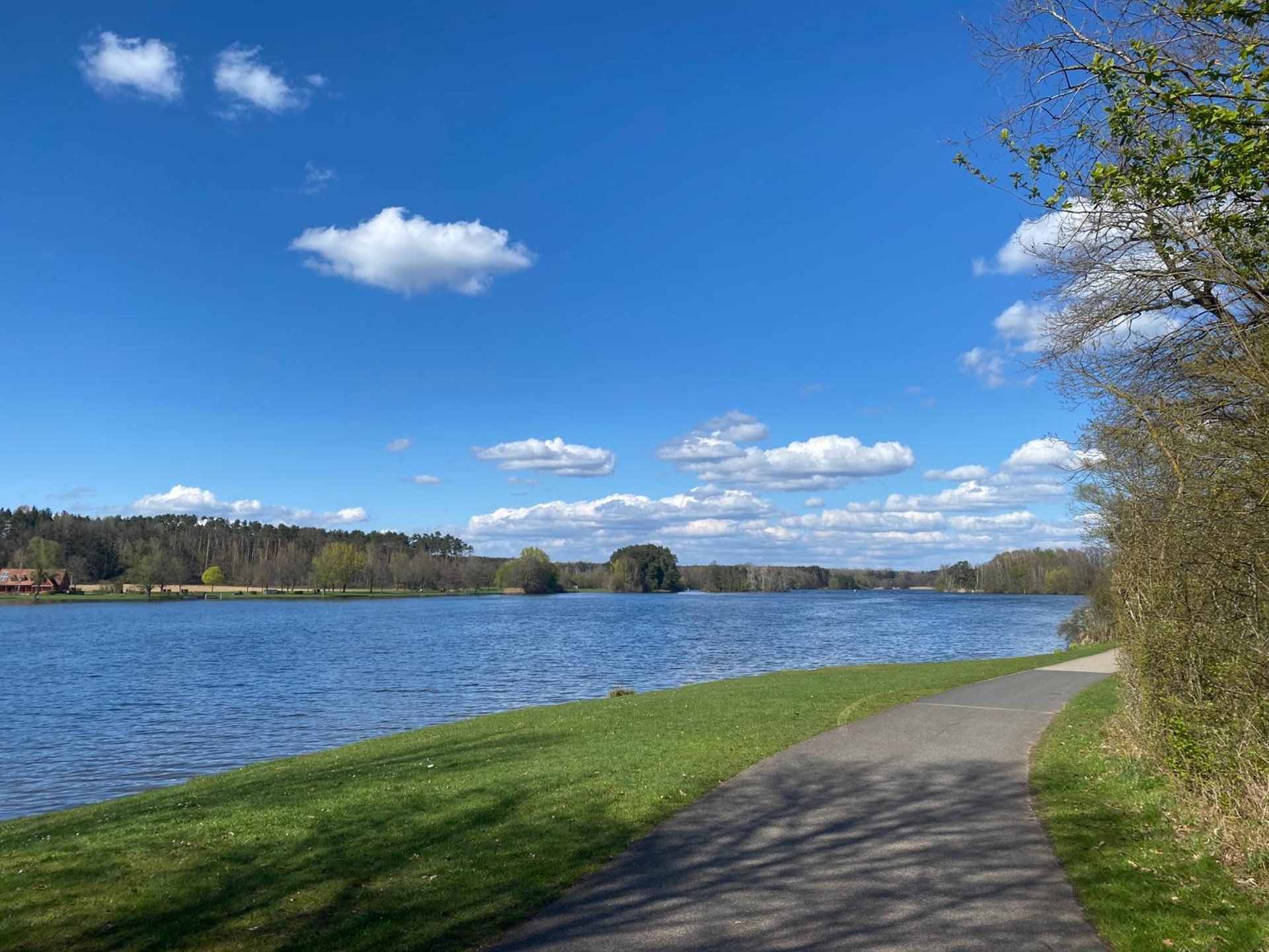 gray computer monitor