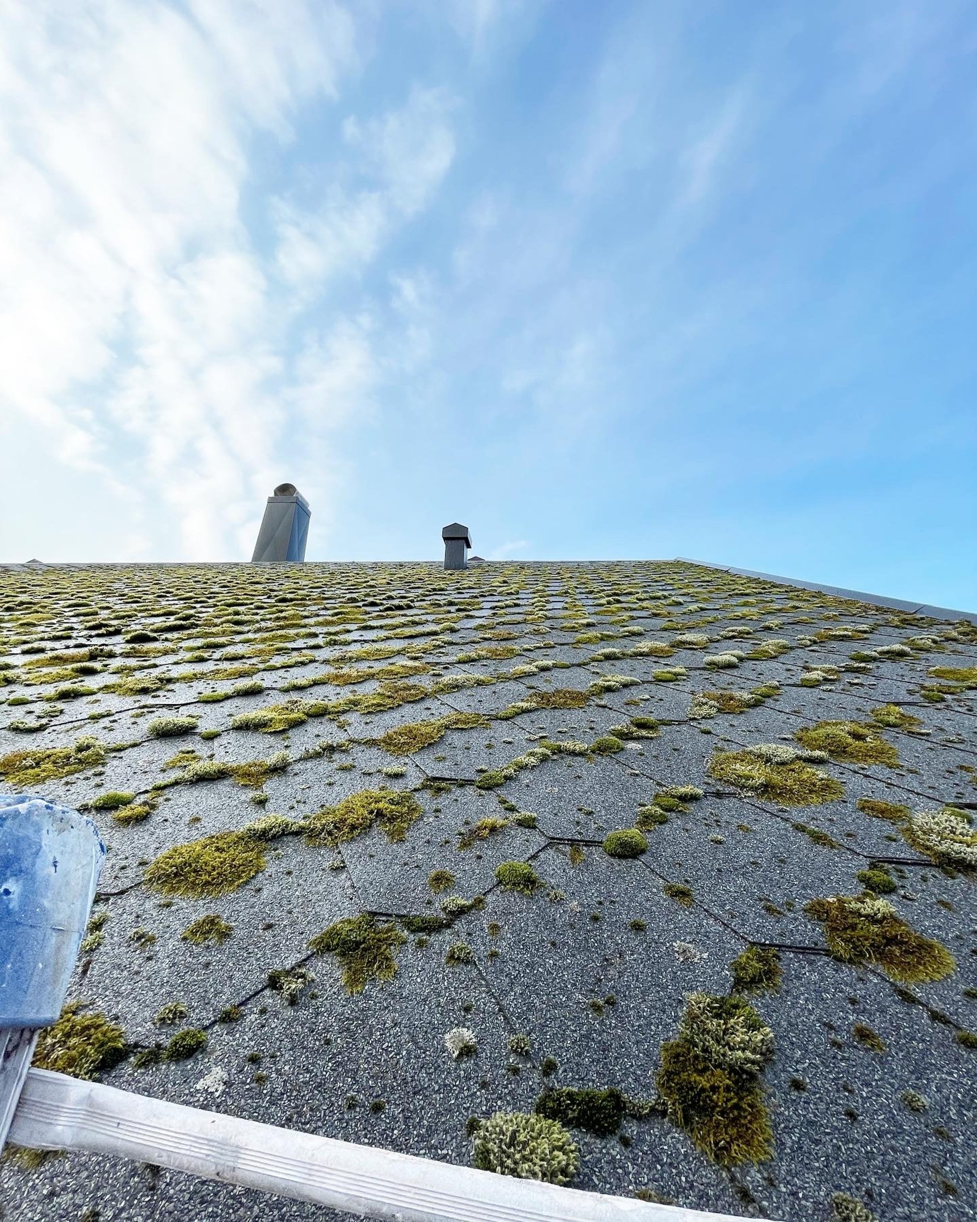 woman wearing yellow long-sleeved dress under white clouds and blue sky during daytime