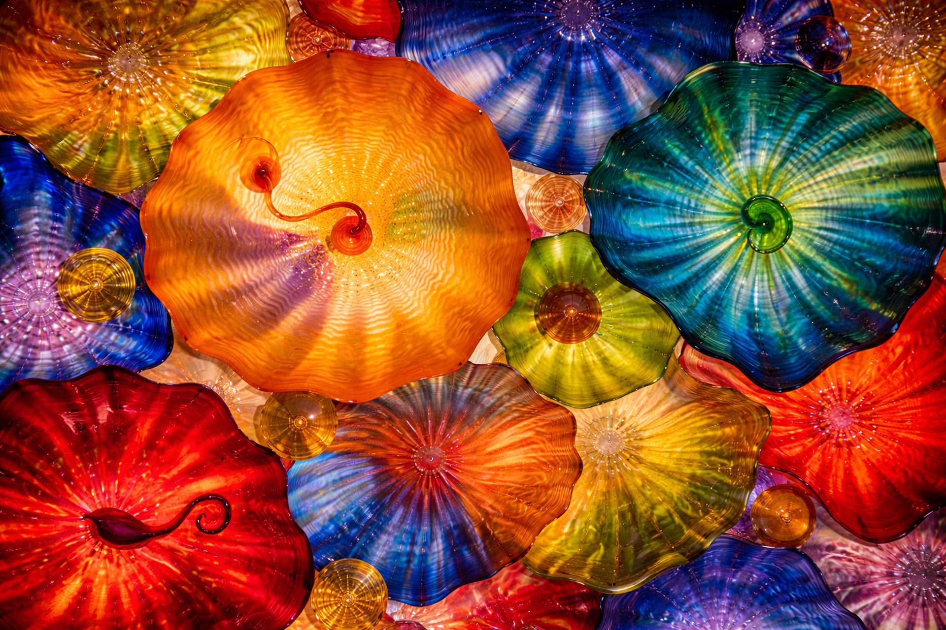 Colorful blown glass objects overlapping like jelly fish