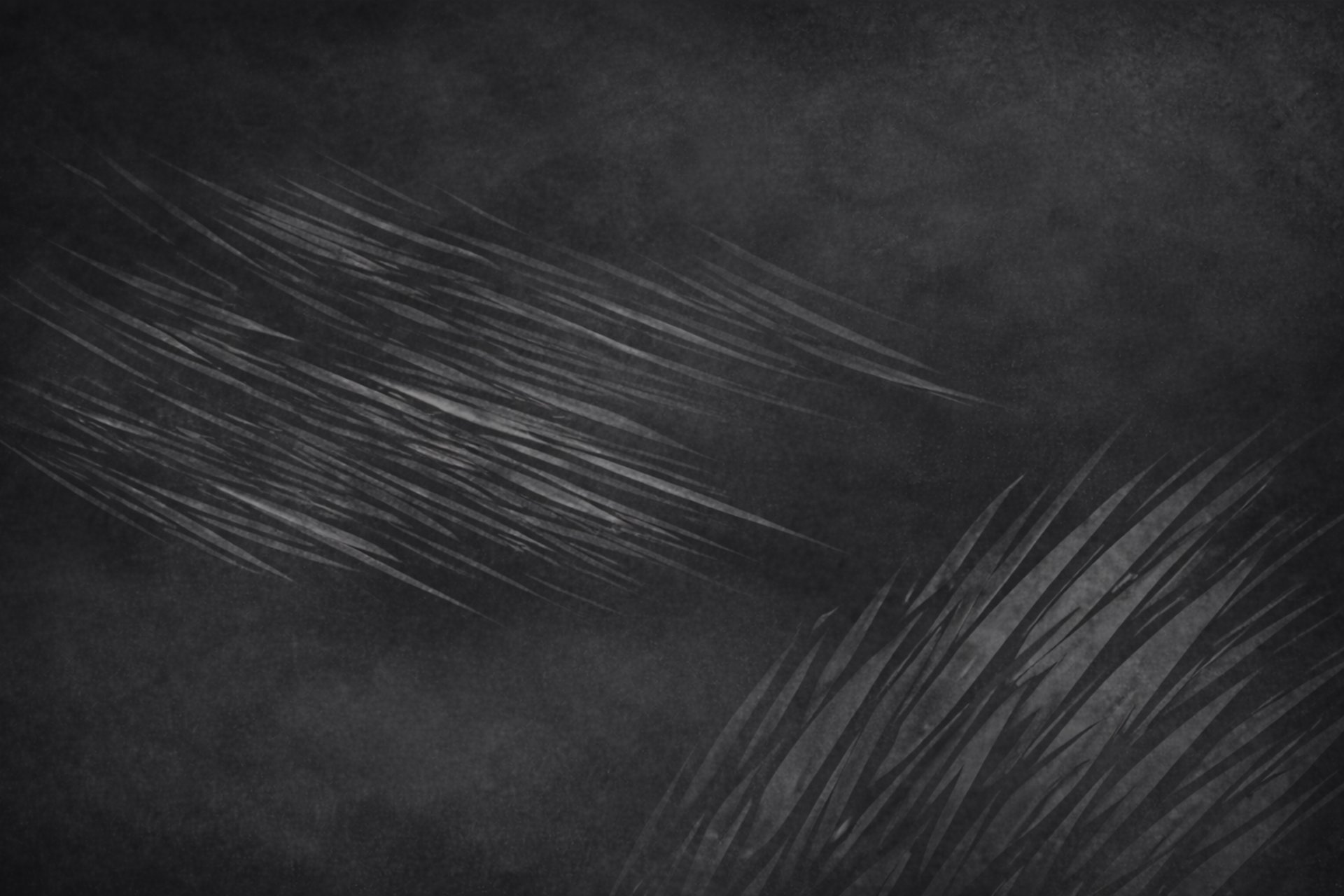 an abstract photo of a curved building with a blue sky in the background