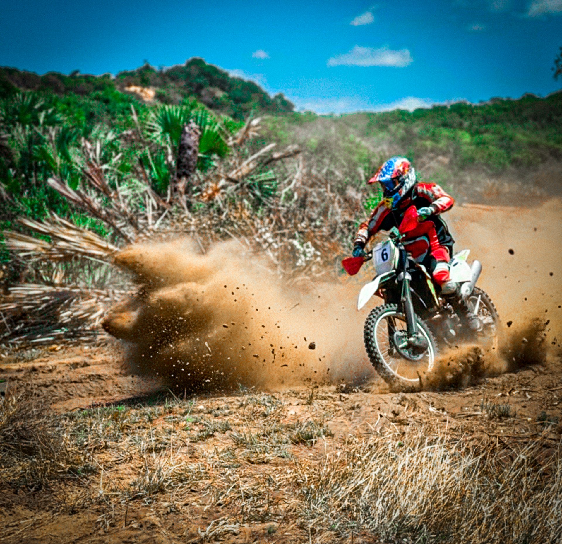 black and white bed linen