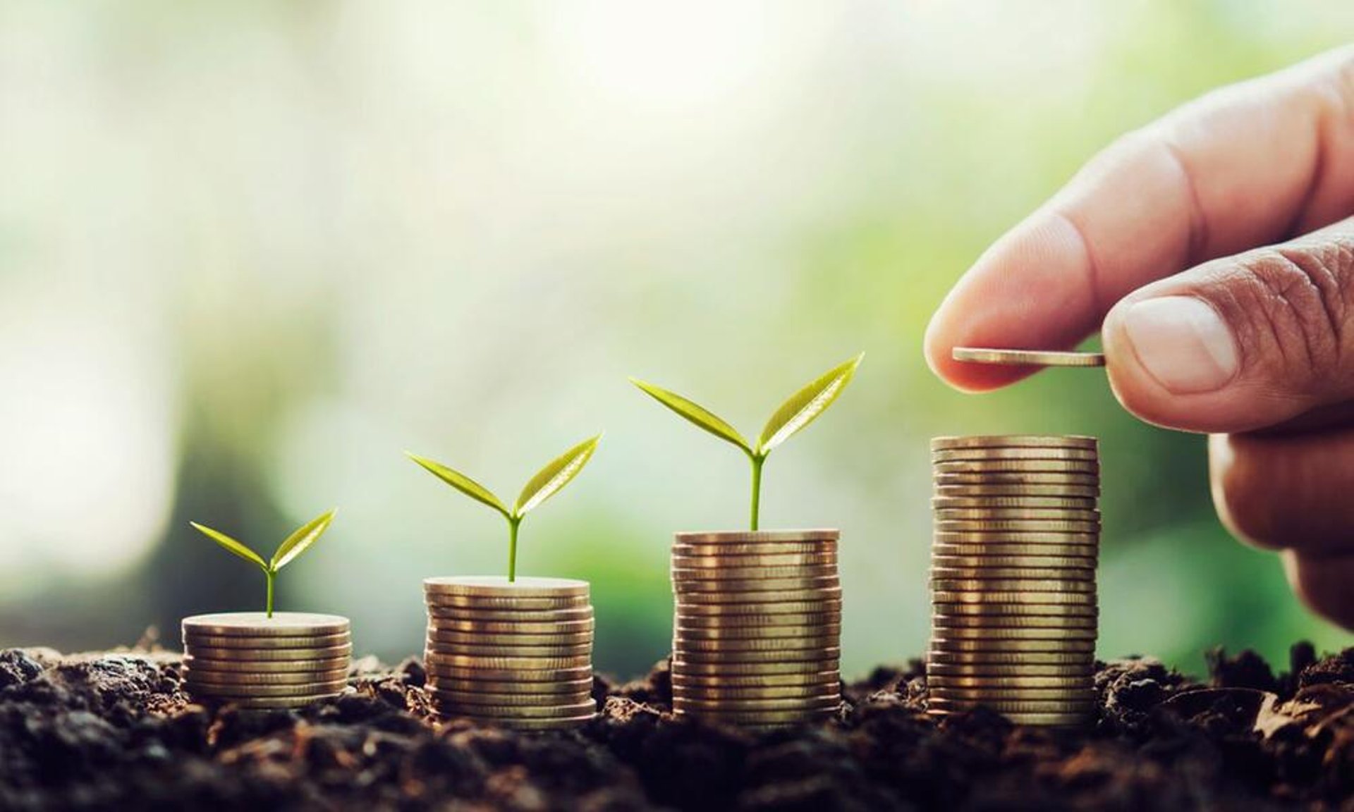 a row of wind turbines next to the ocean