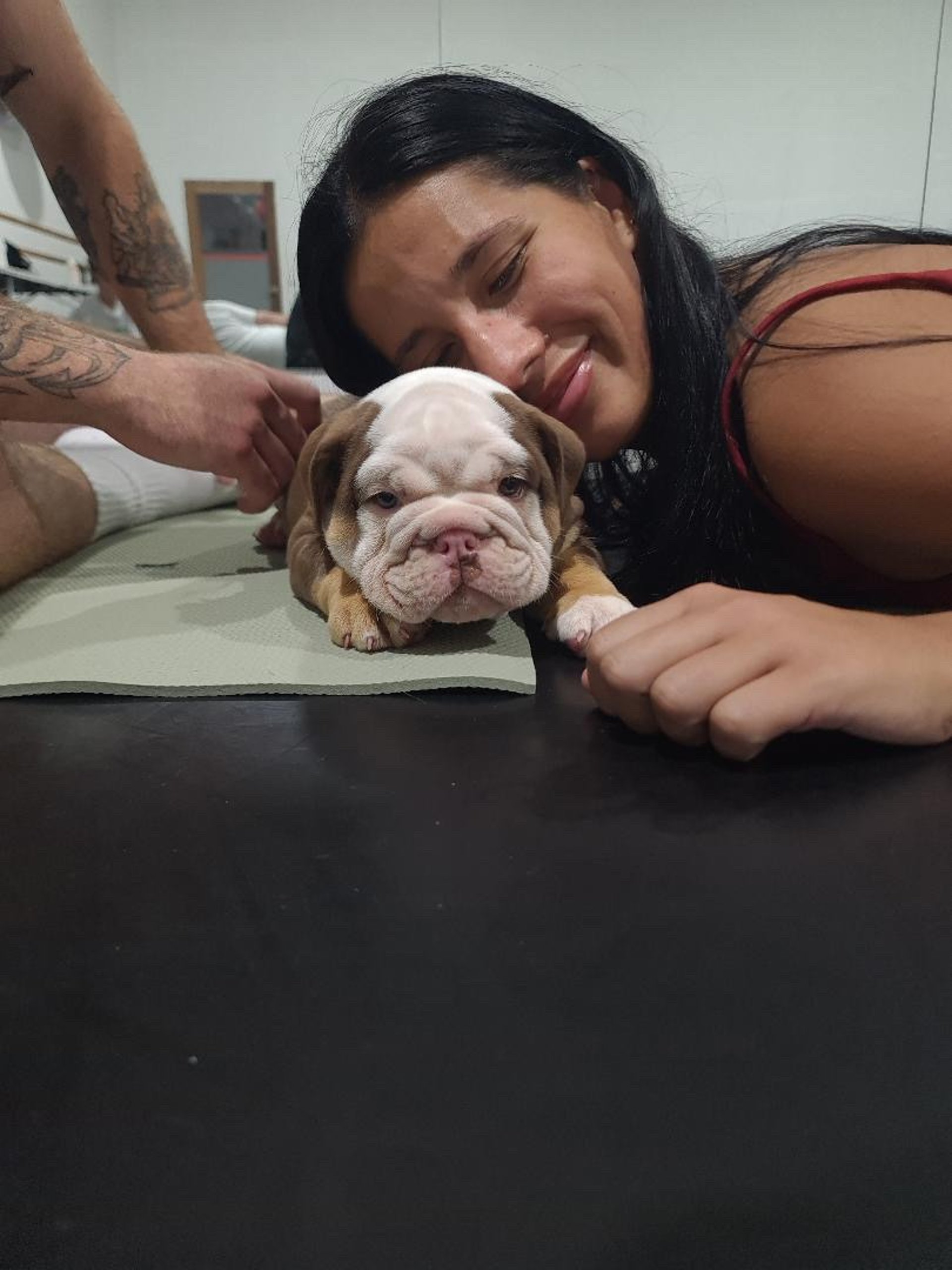 an abstract photo of a curved building with a blue sky in the background