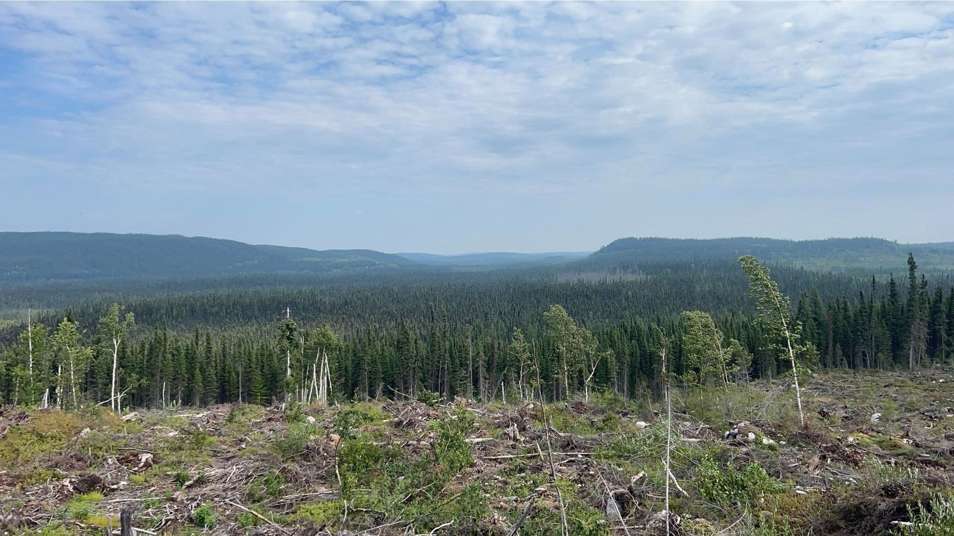 an abstract photo of a curved building with a blue sky in the background