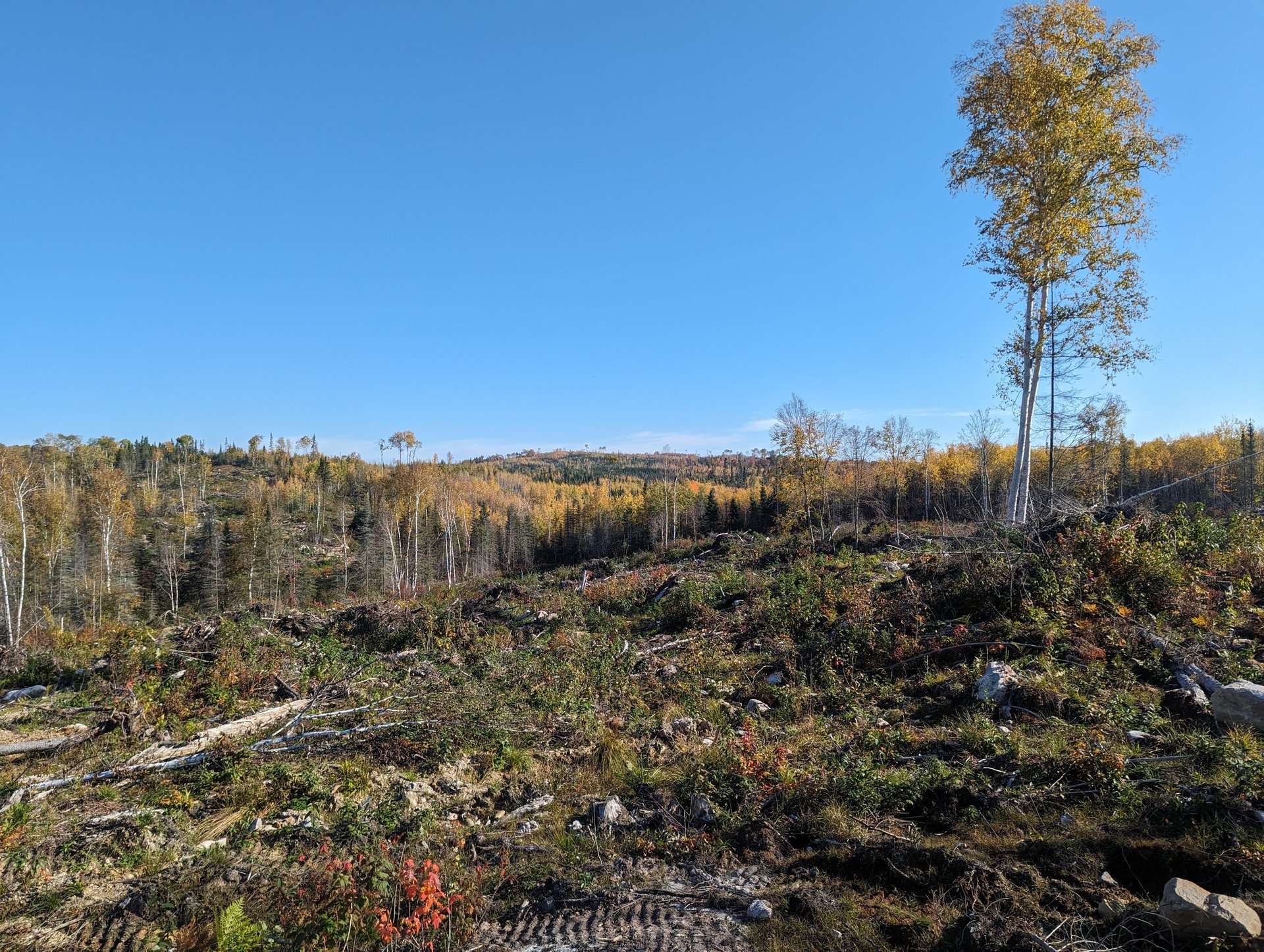 an abstract photo of a curved building with a blue sky in the background