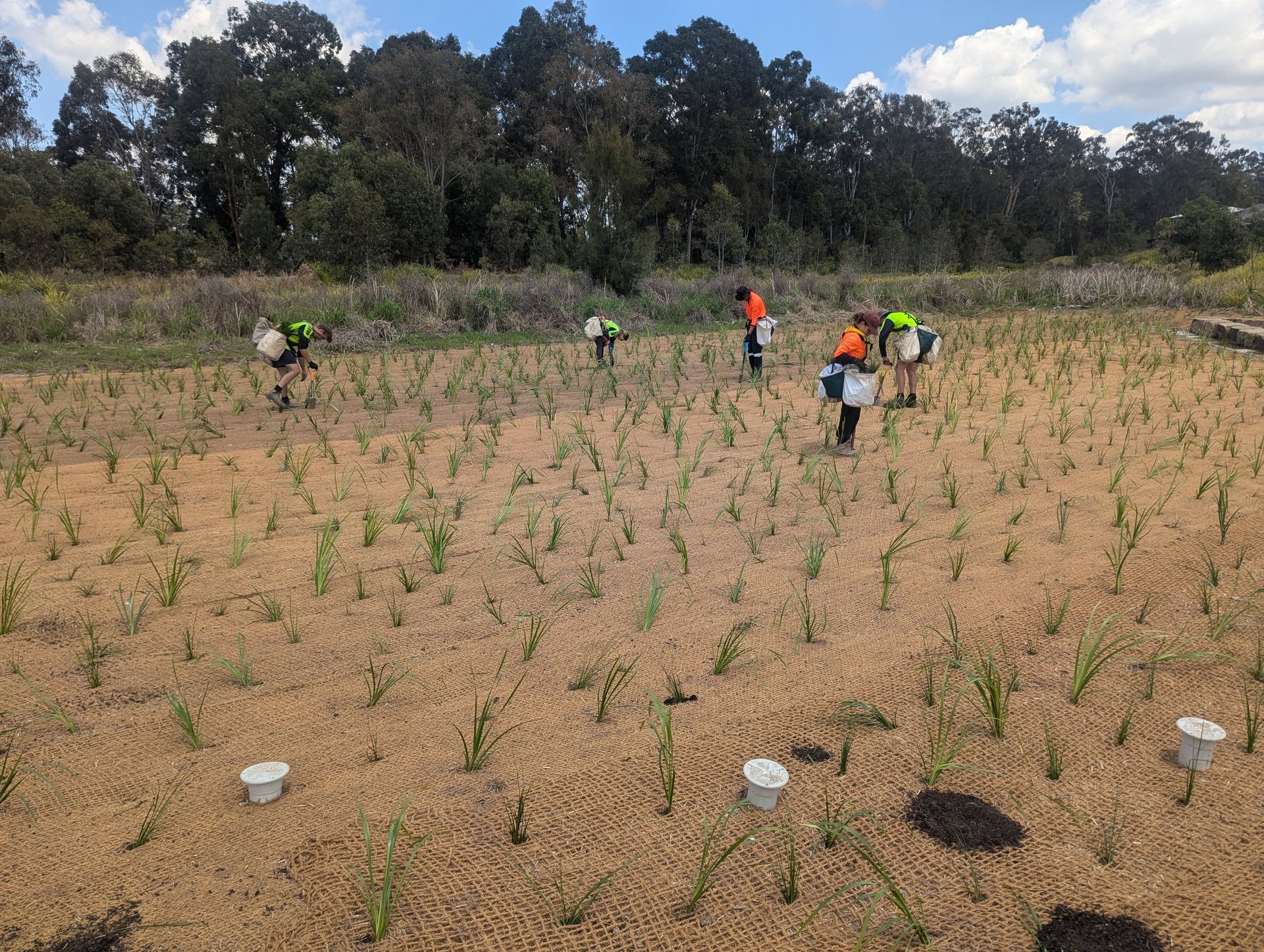 an abstract photo of a curved building with a blue sky in the background