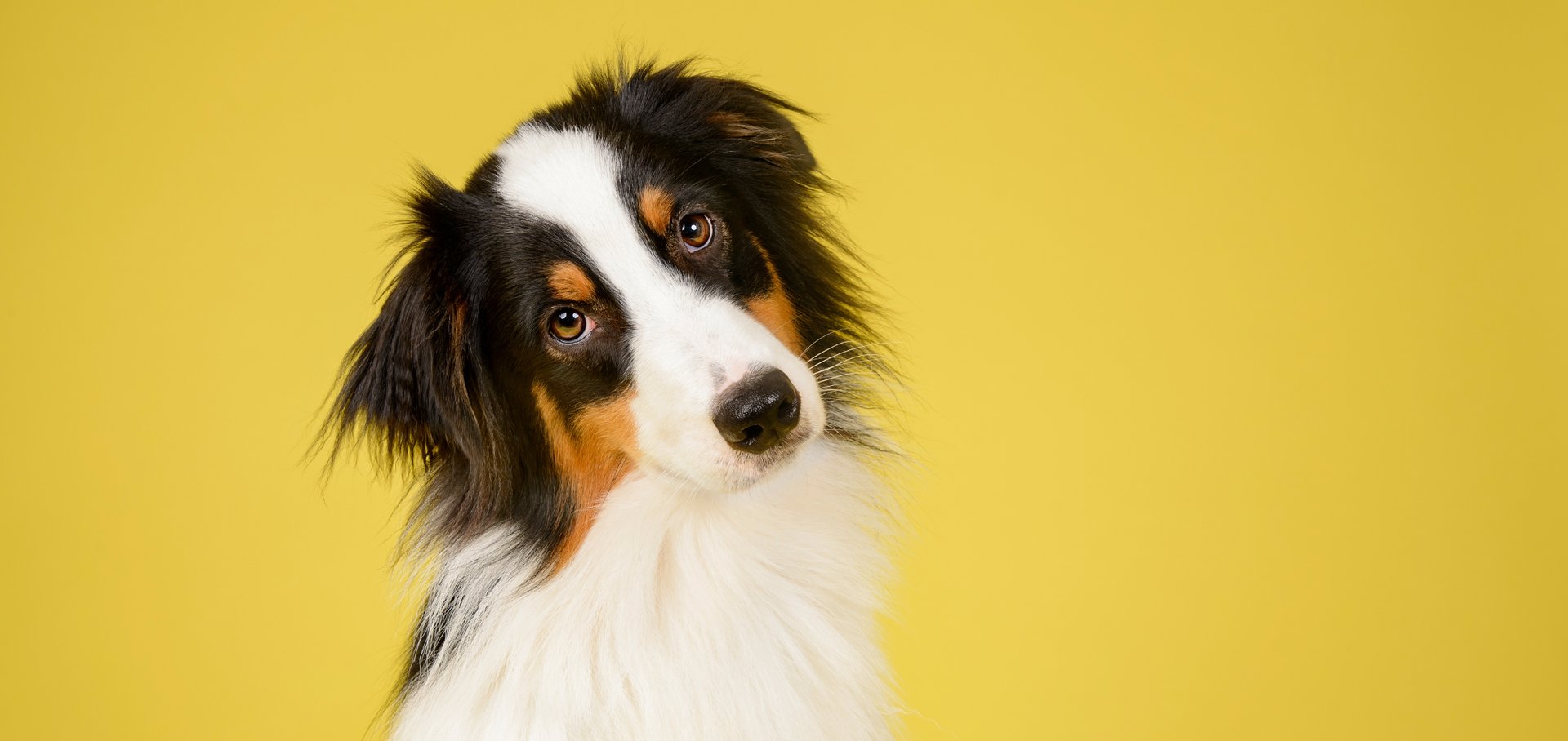 gray computer monitor