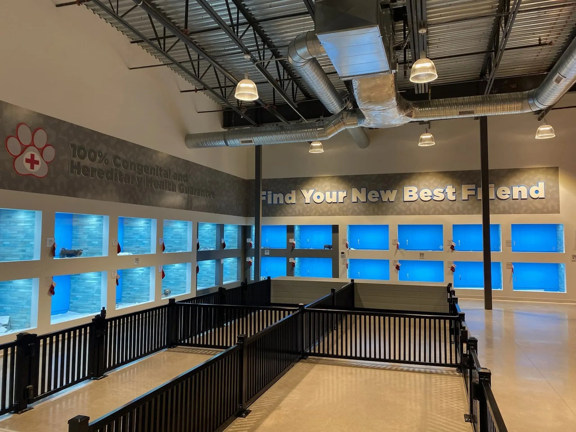 The Puppy Place West Springfield MA