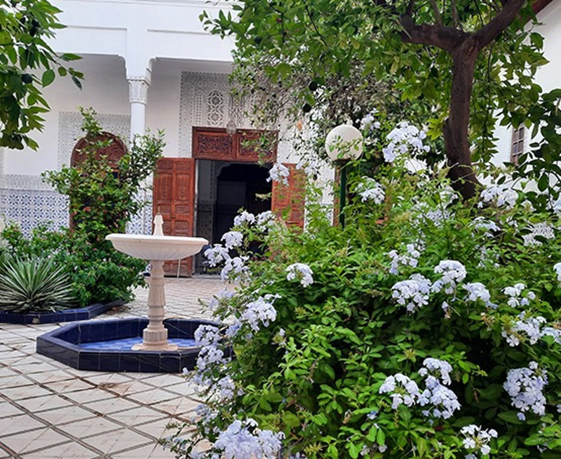 gray computer monitor