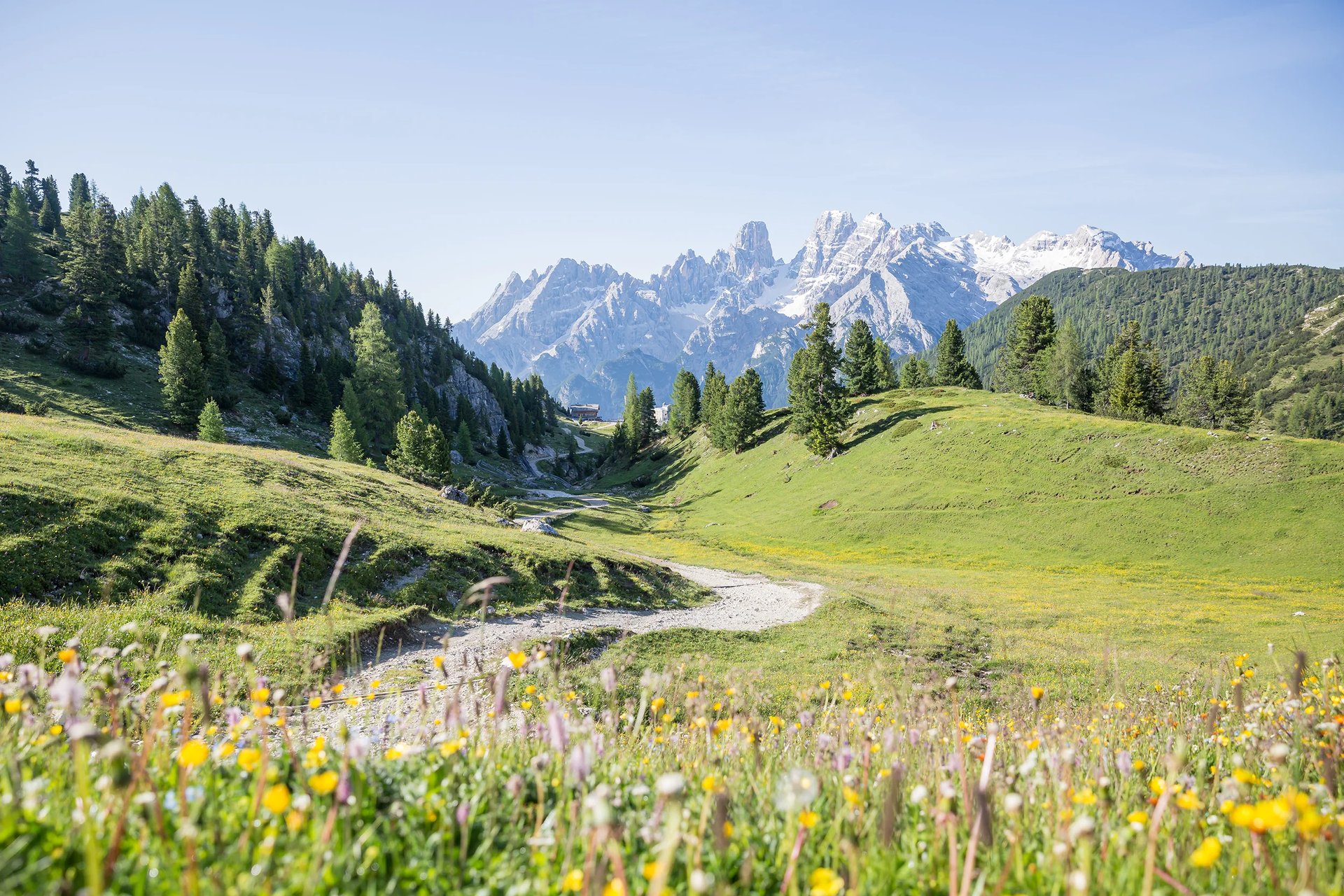 black blue and yellow textile