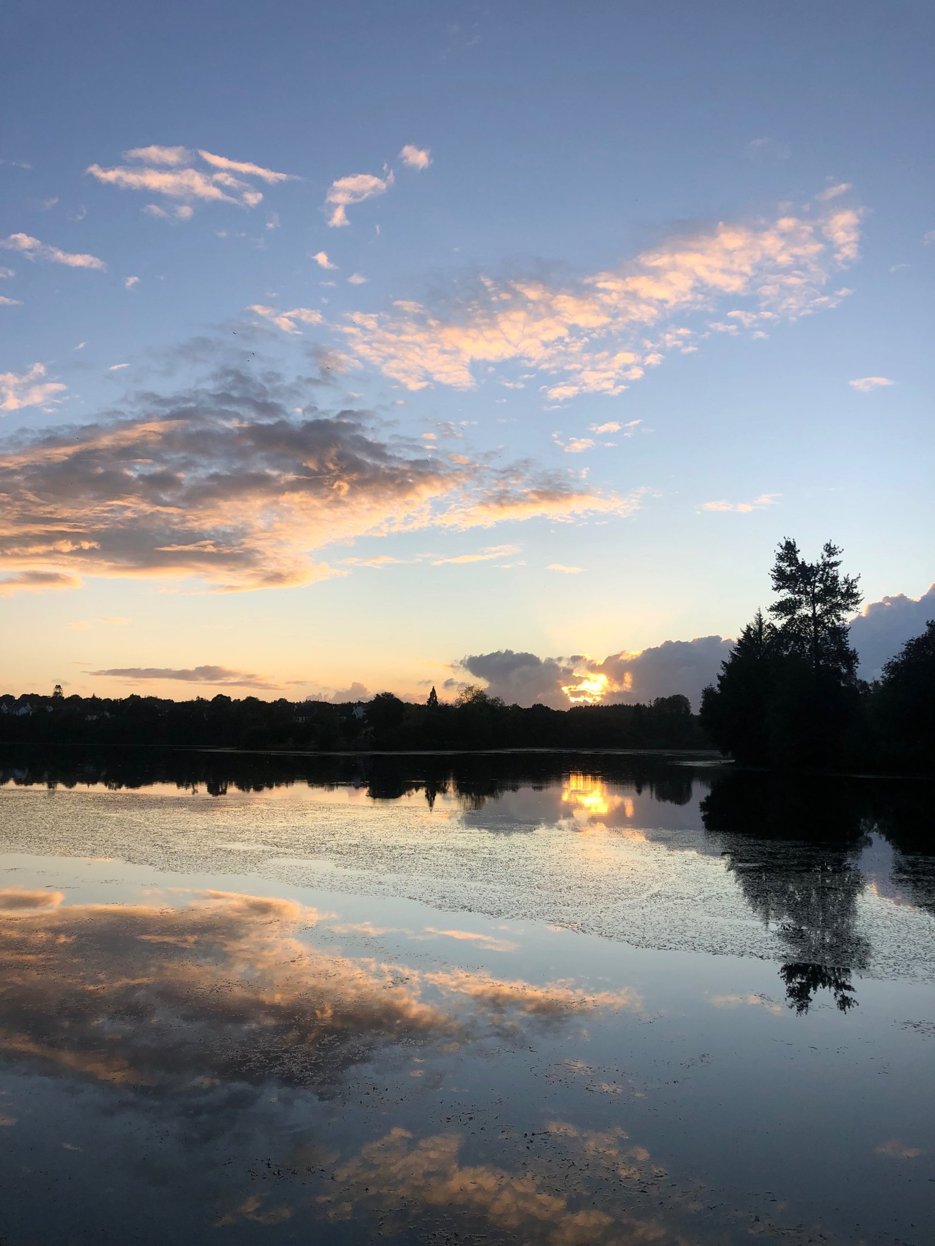 woman wearing yellow long-sleeved dress under white clouds and blue sky during daytime