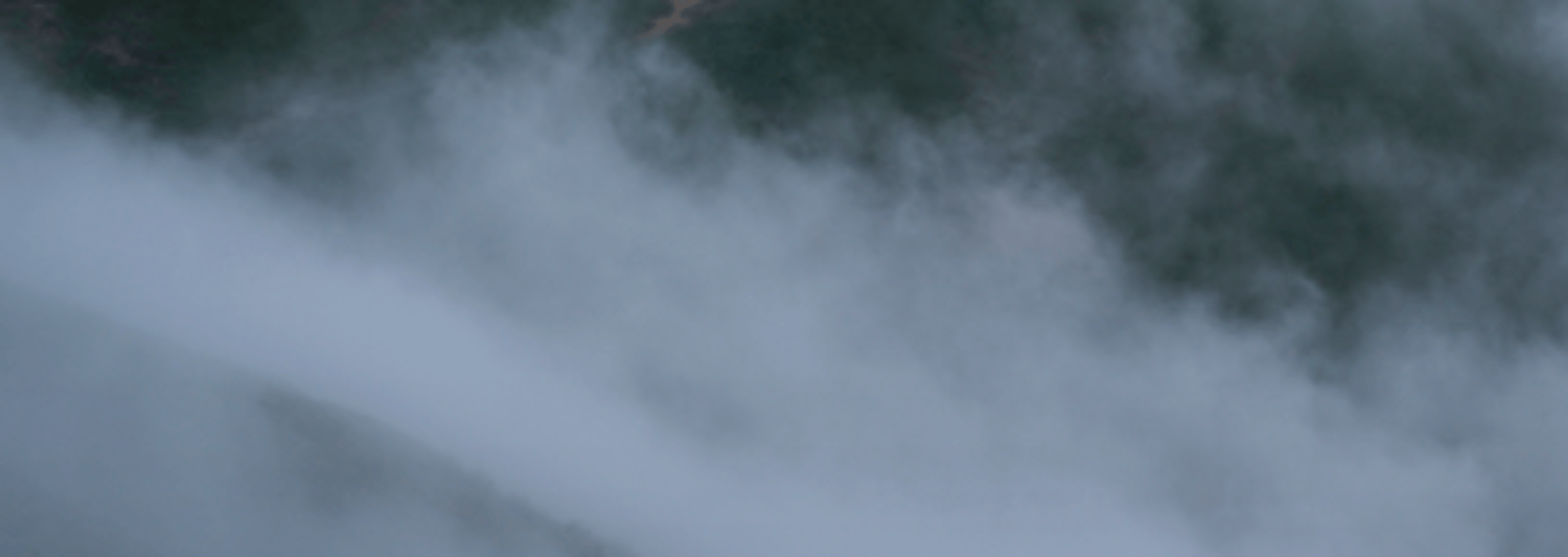 green trees beside lake during foggy weather
