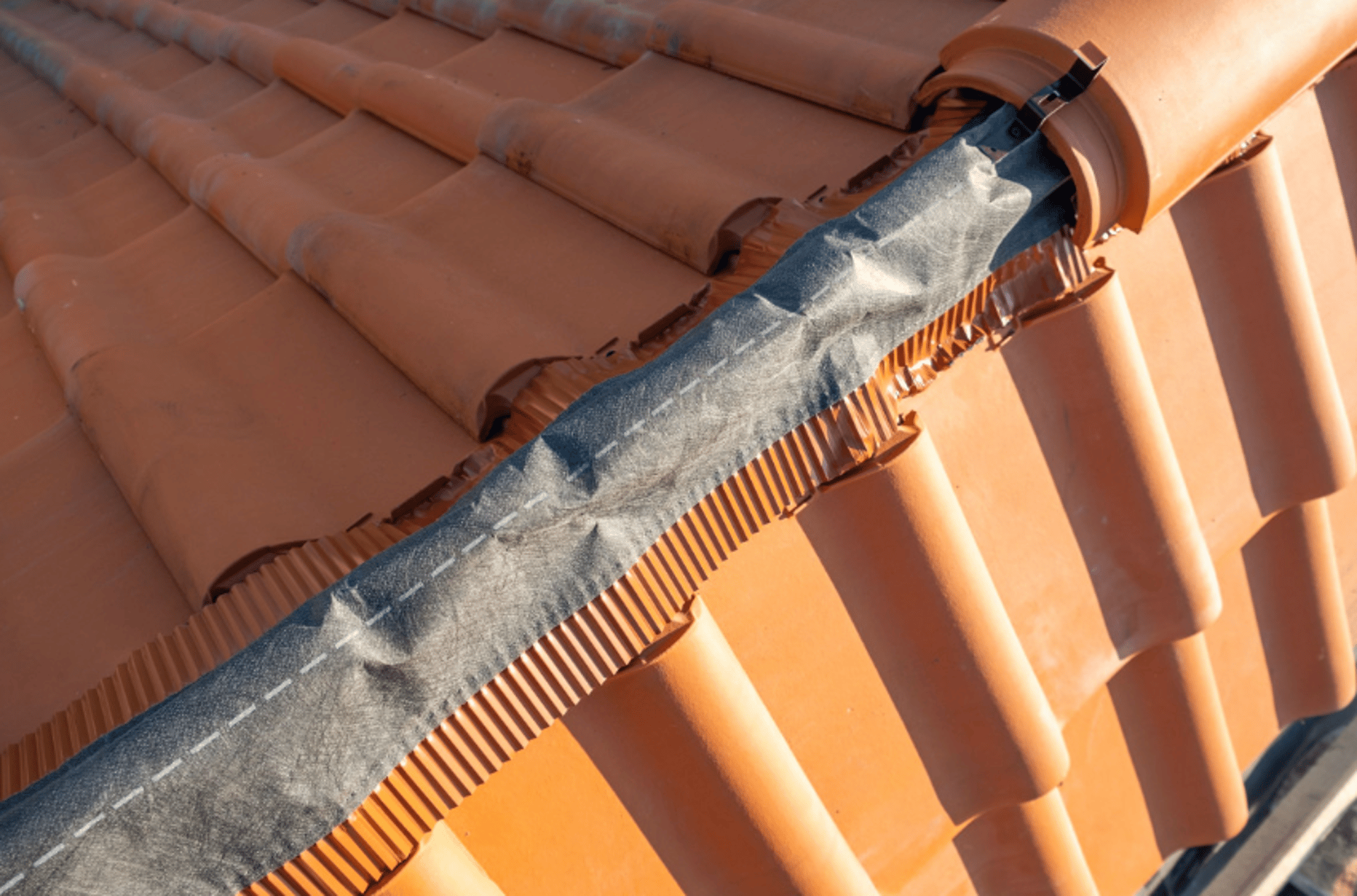 an abstract photo of a curved building with a blue sky in the background