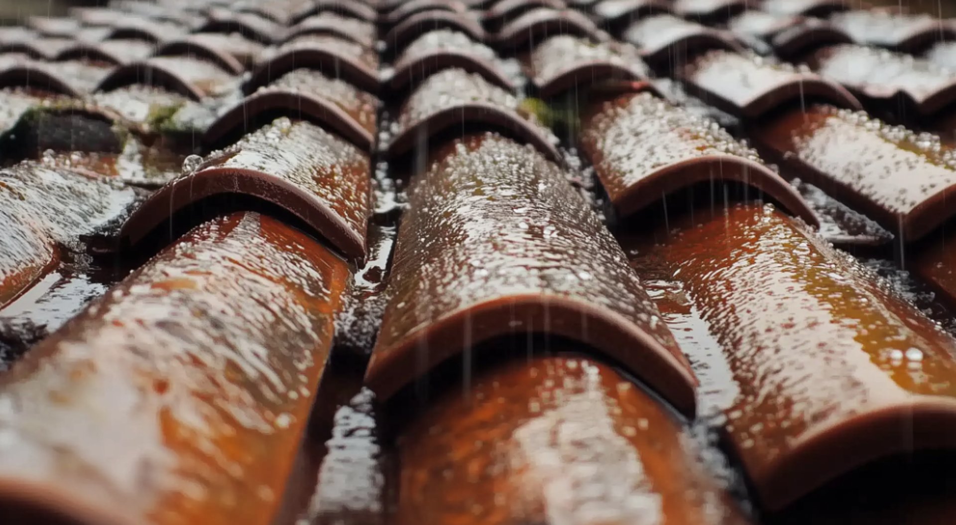 an abstract photo of a curved building with a blue sky in the background