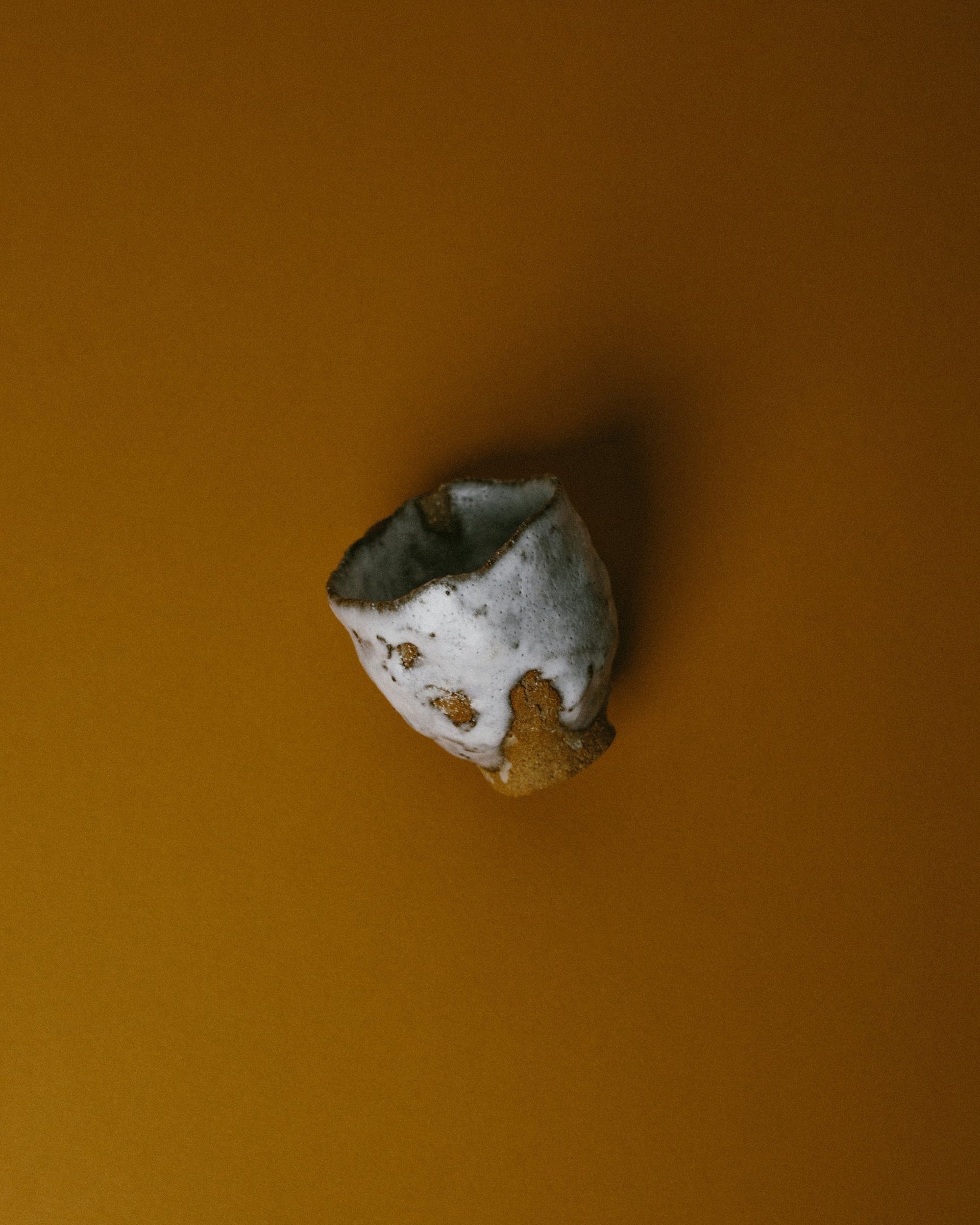 an abstract photo of a curved building with a blue sky in the background
