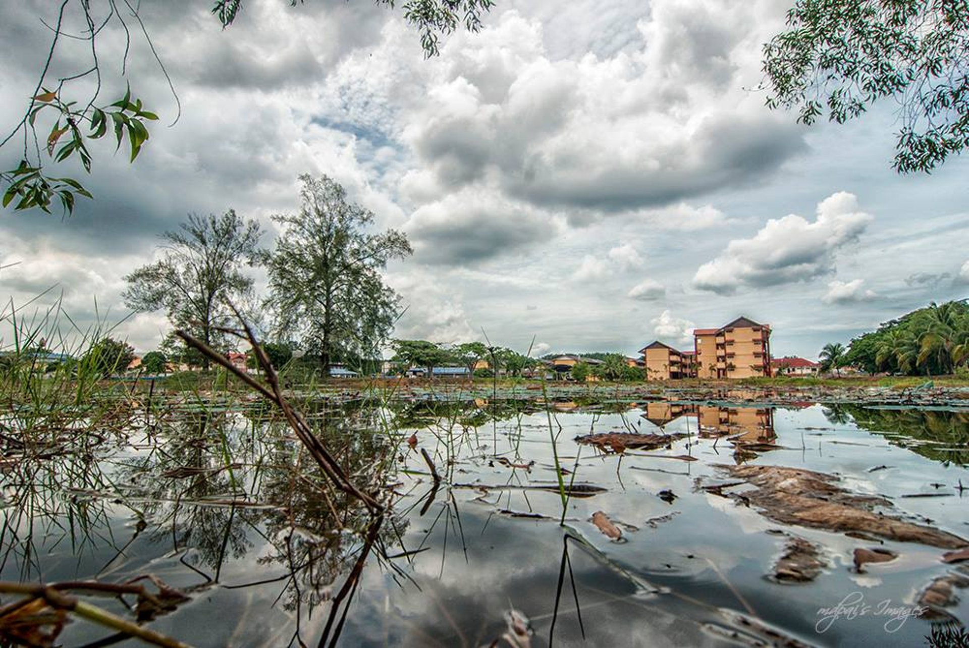 gray computer monitor