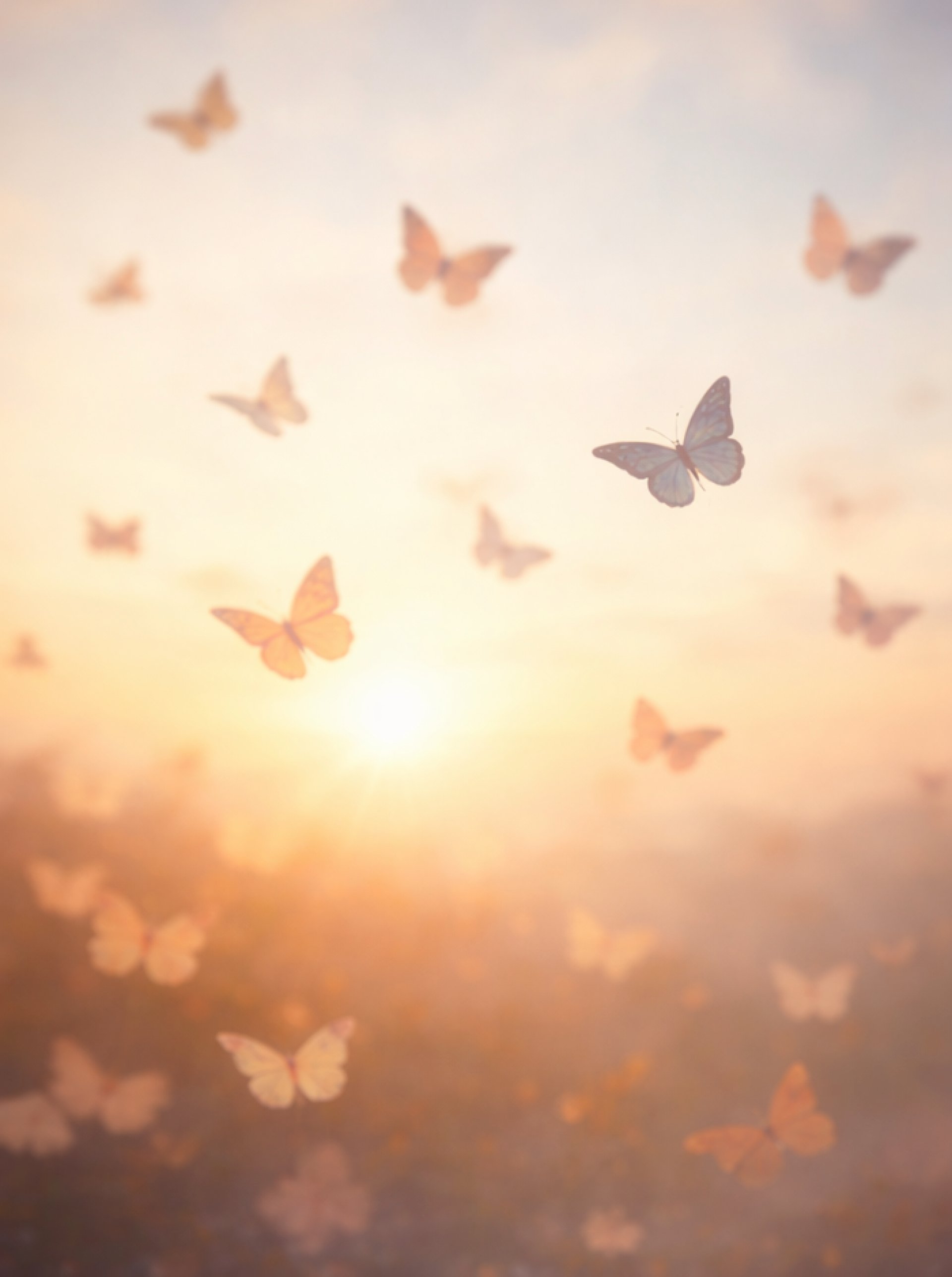 persons hand with white manicure