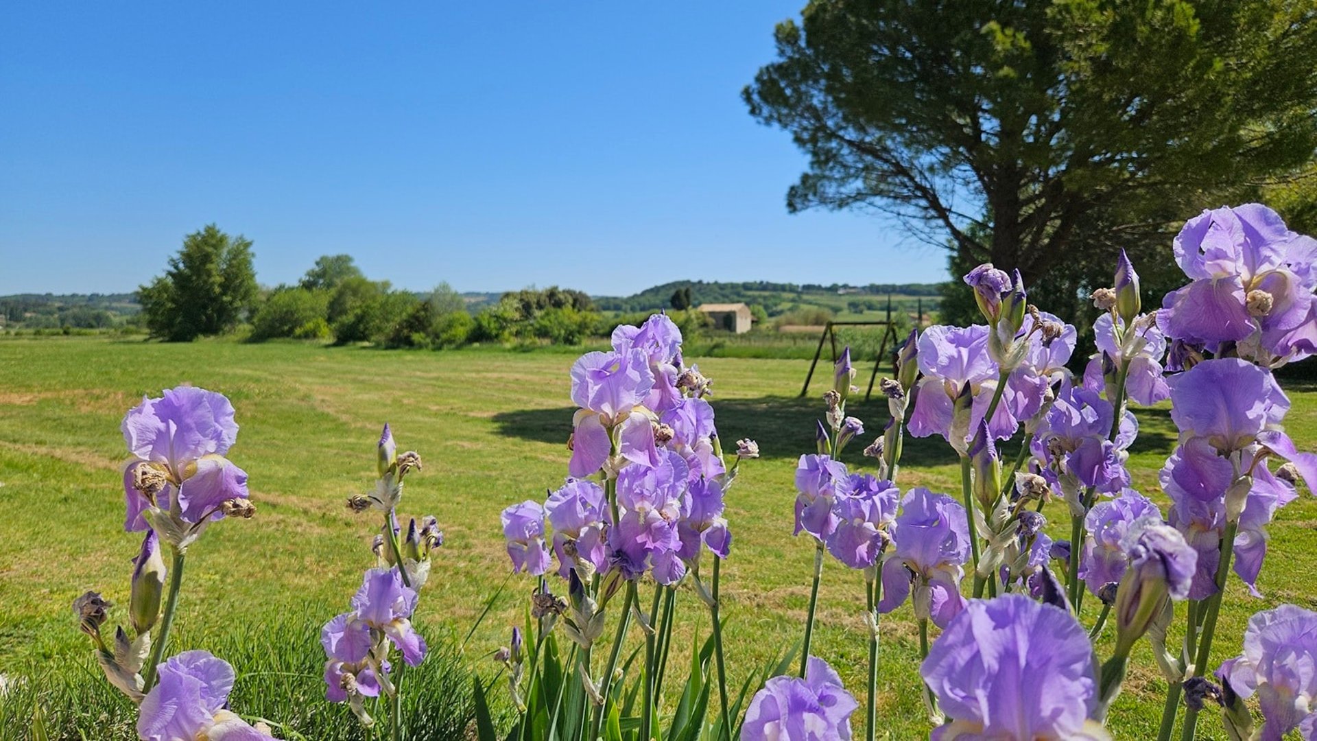 black blue and yellow textile