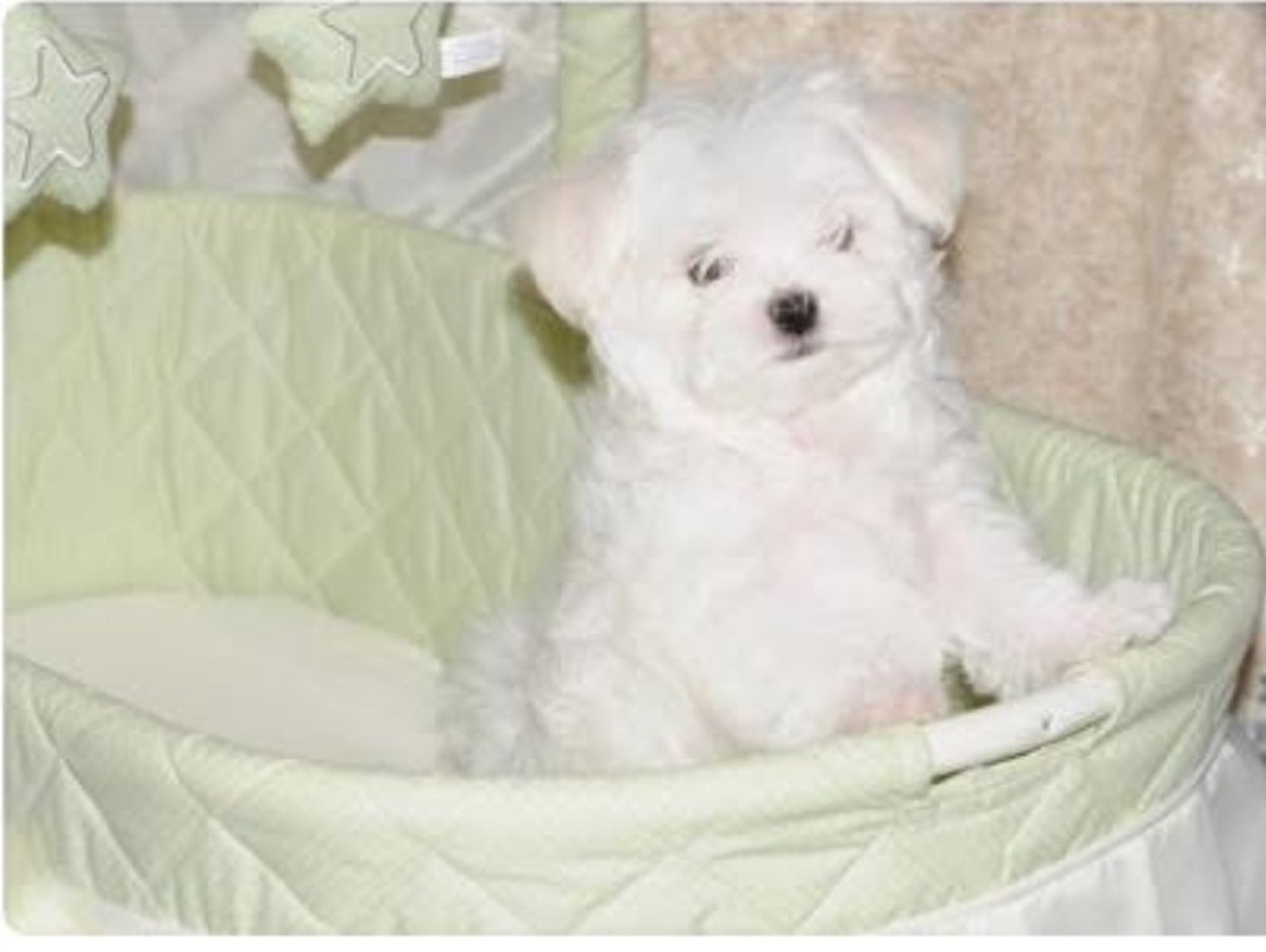 gray computer monitor