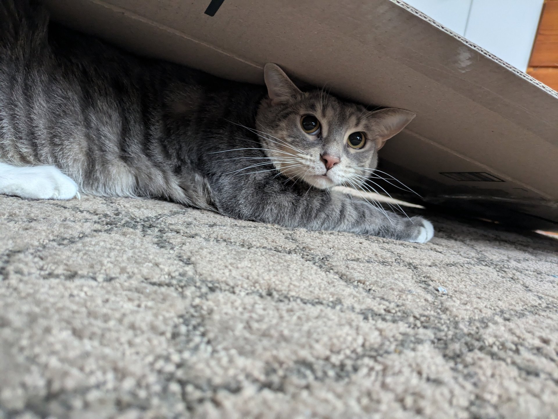 mountain range under blue sky
