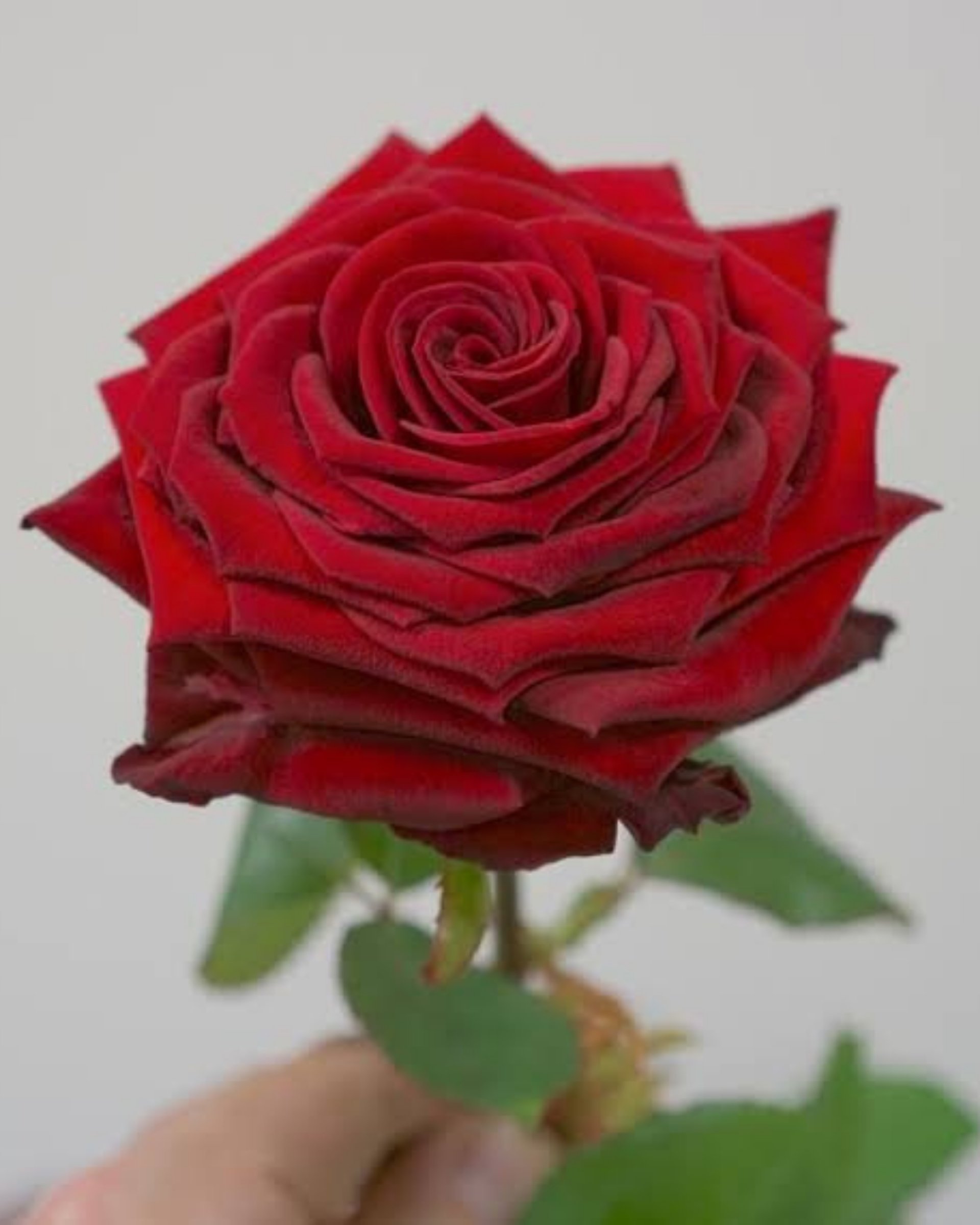 an abstract photo of a curved building with a blue sky in the background