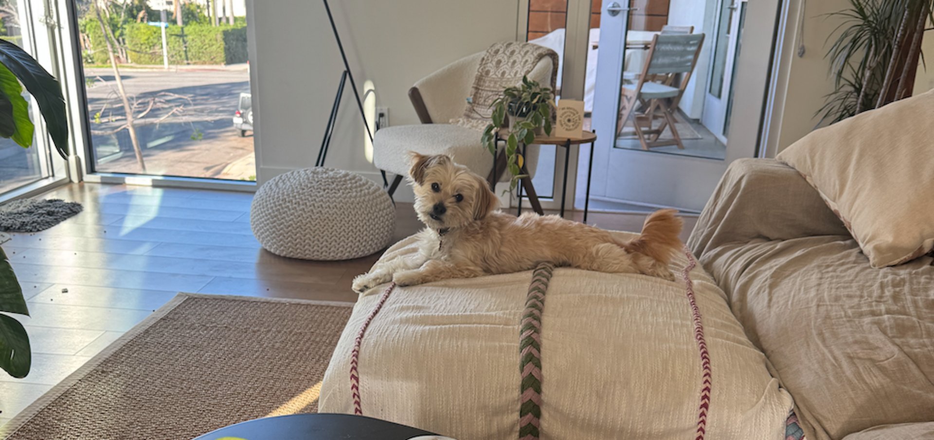 black and white bed linen