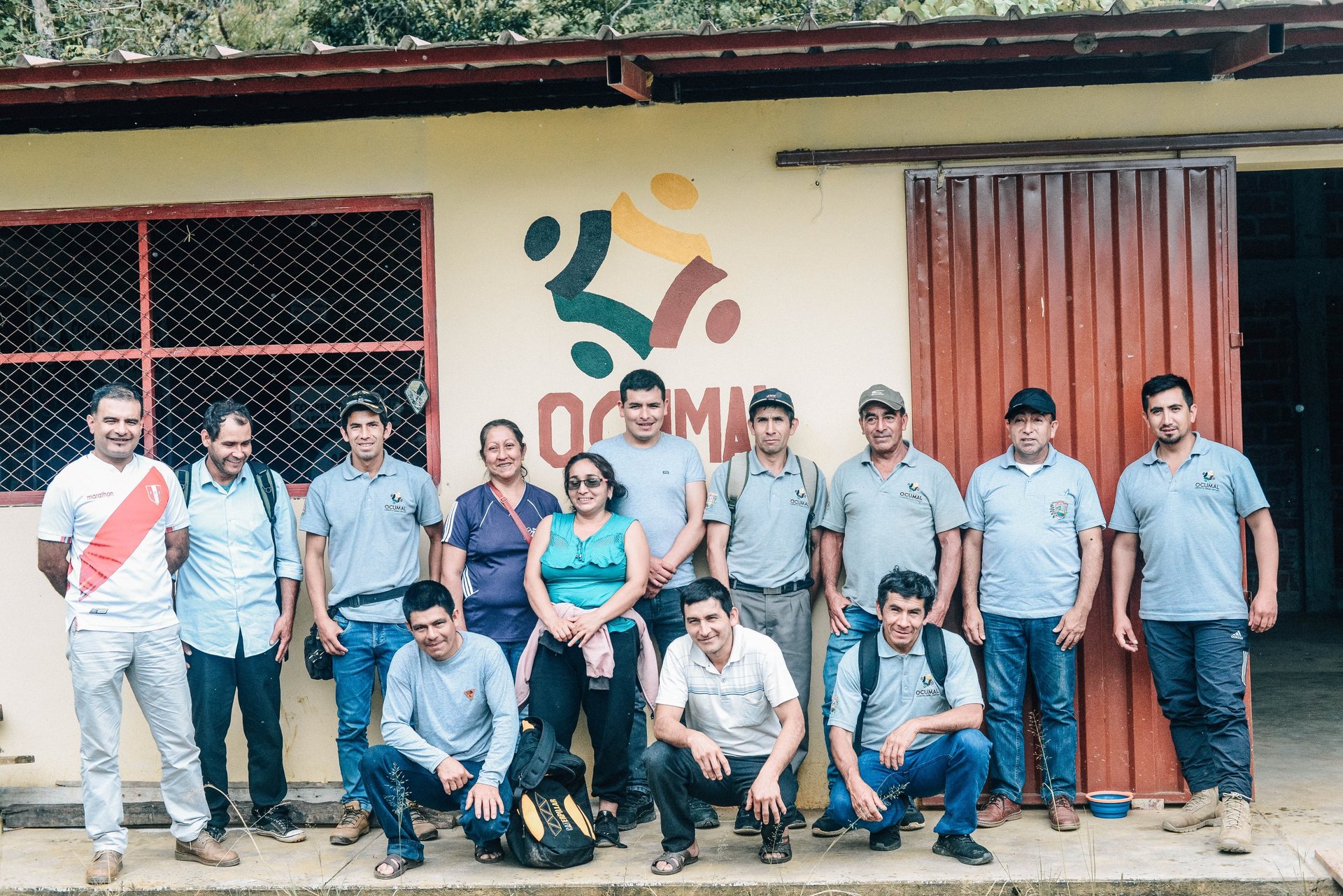 coffee beans are growing on a tree branch