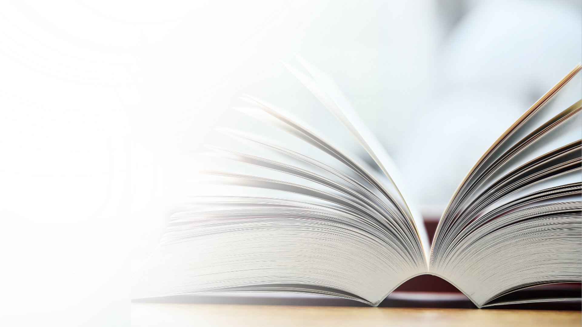 water falls in the forest