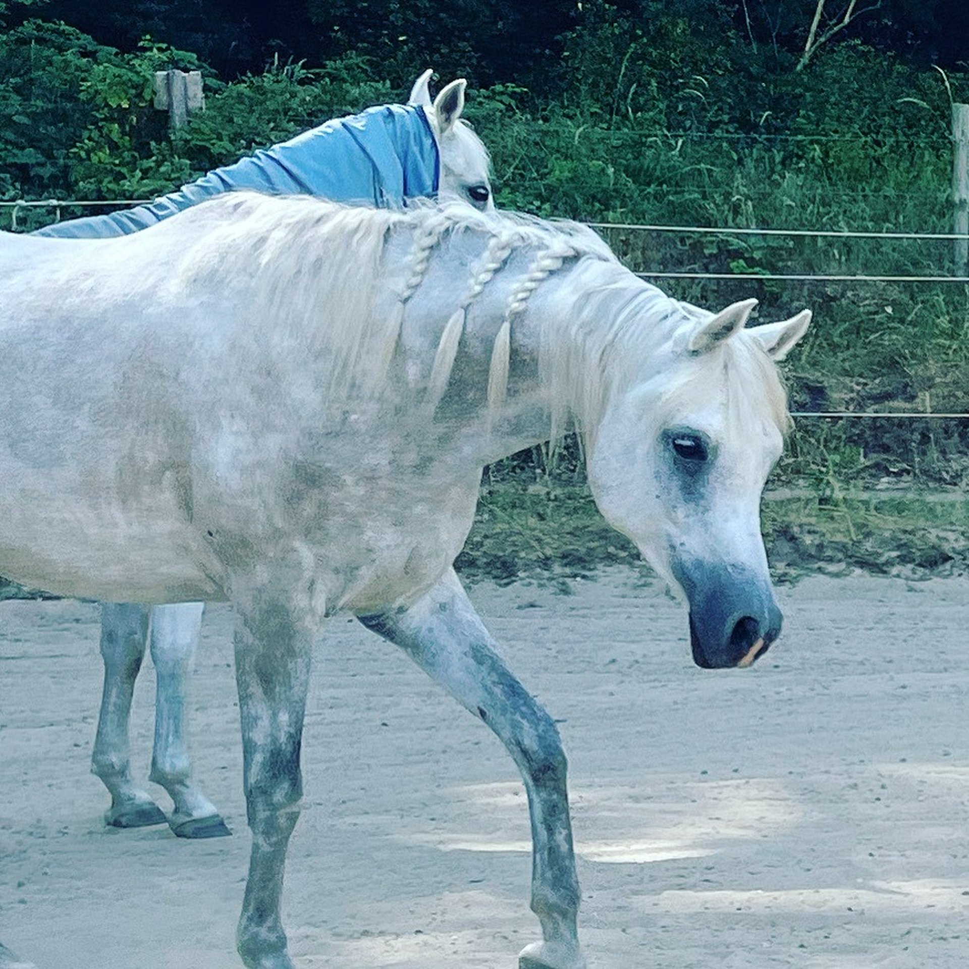 black and white bed linen