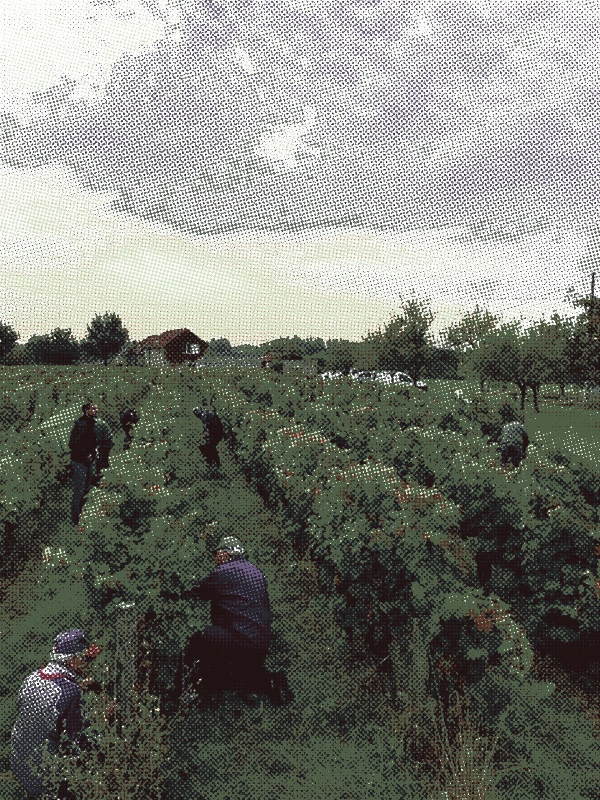 black and white bed linen