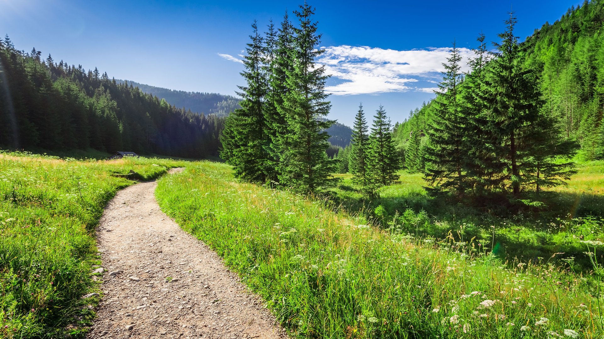 Nature path through open field surrounded by large tree covered hills