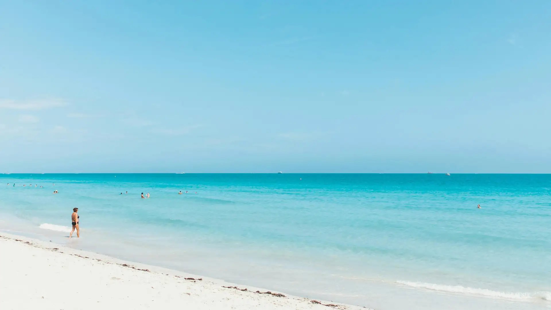 seashore during golden hour