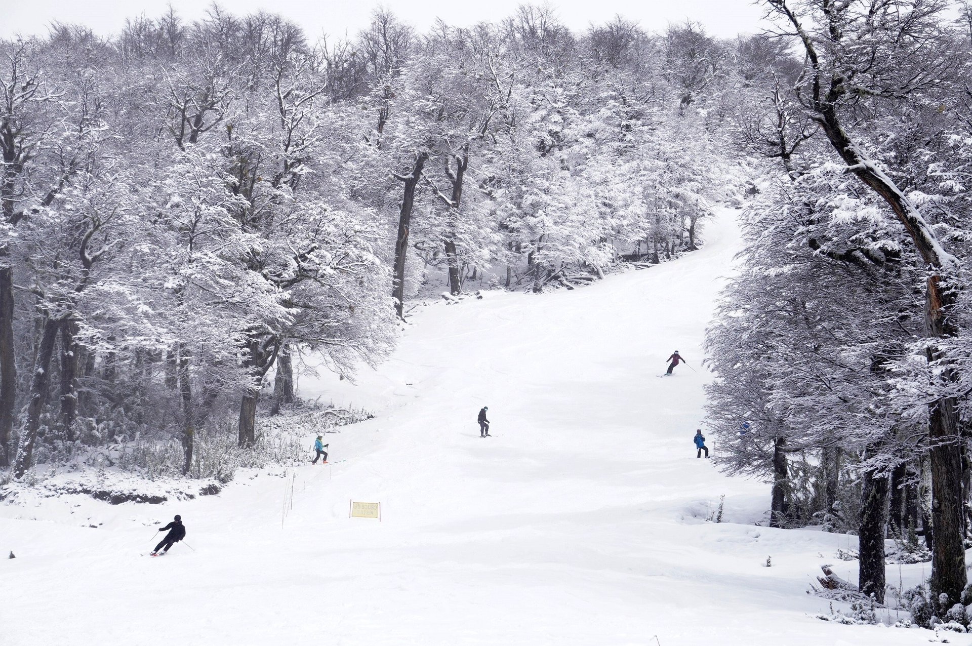 black blue and yellow textile