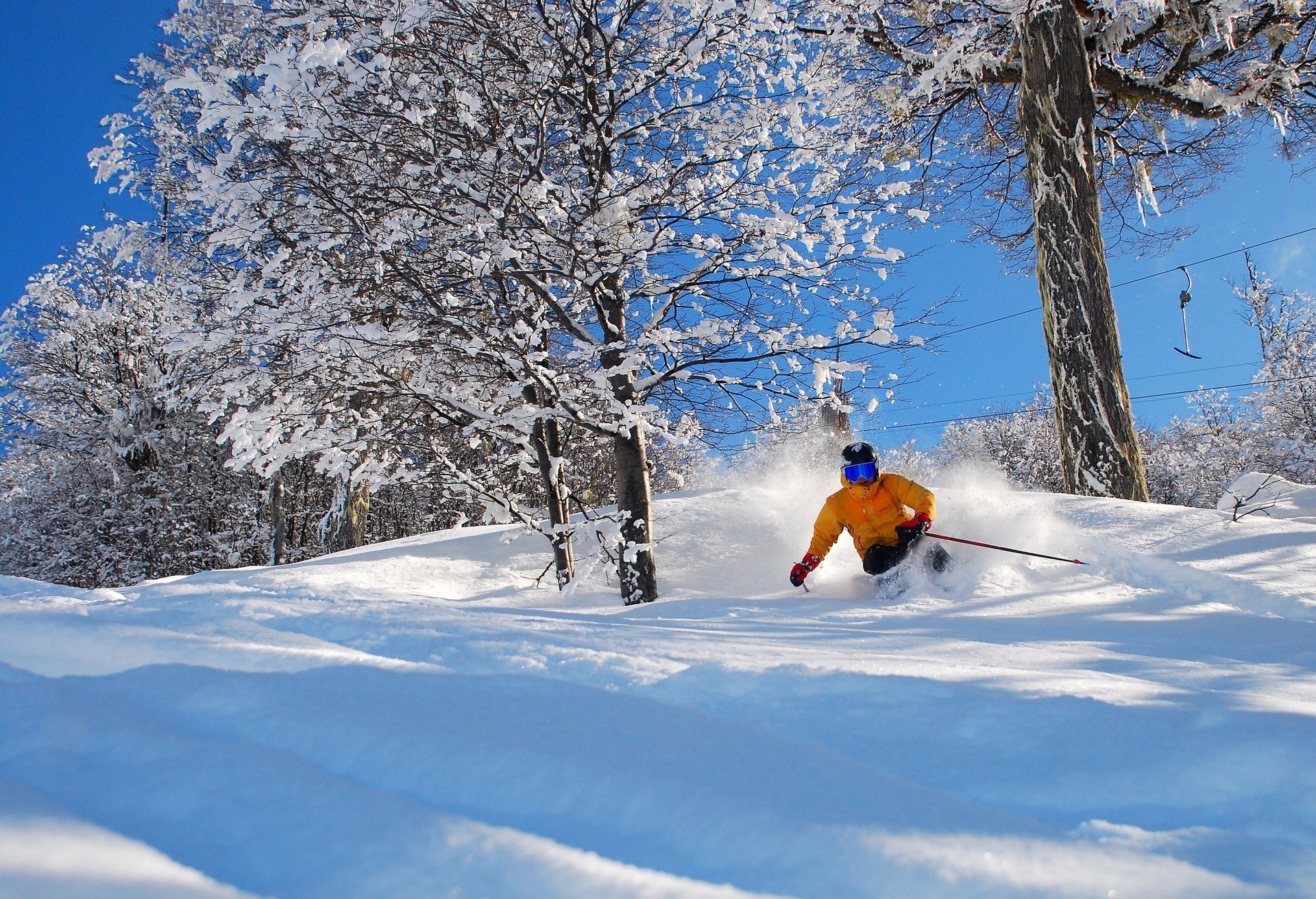 black blue and yellow textile
