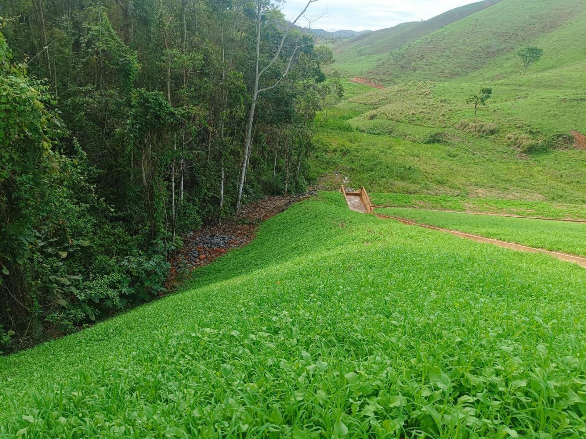 gray computer monitor