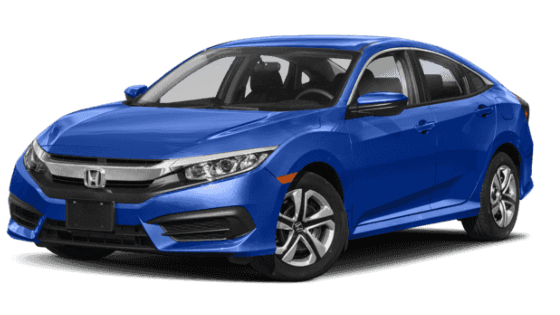 person holding black rotary telephone